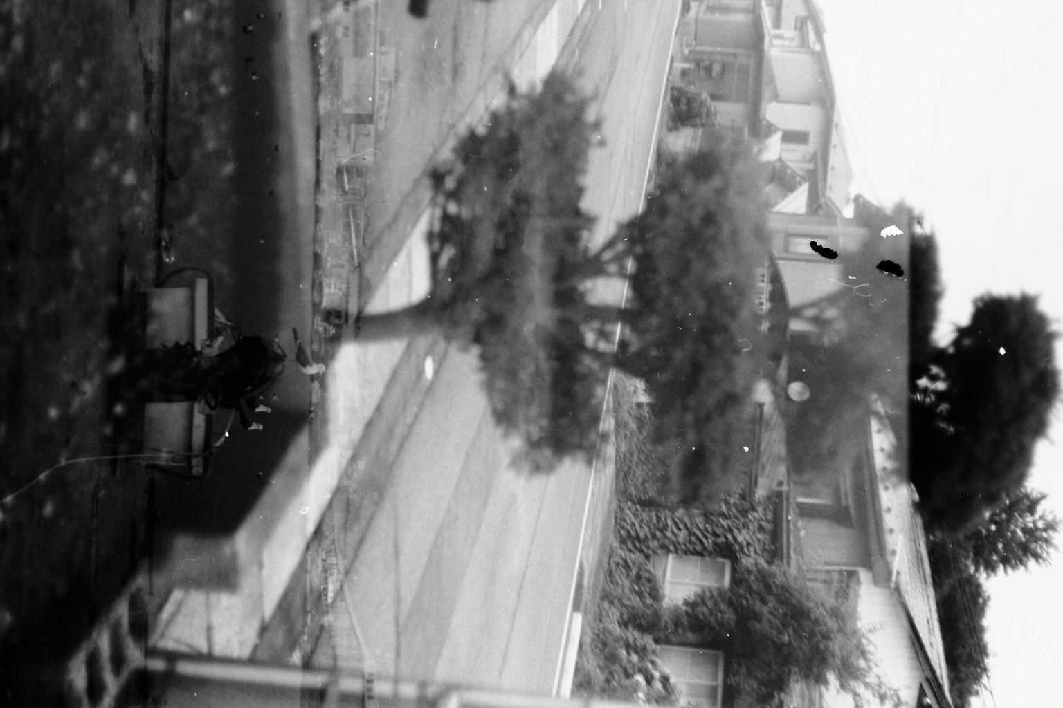 Fotografia in bianco e nero di una strada con case