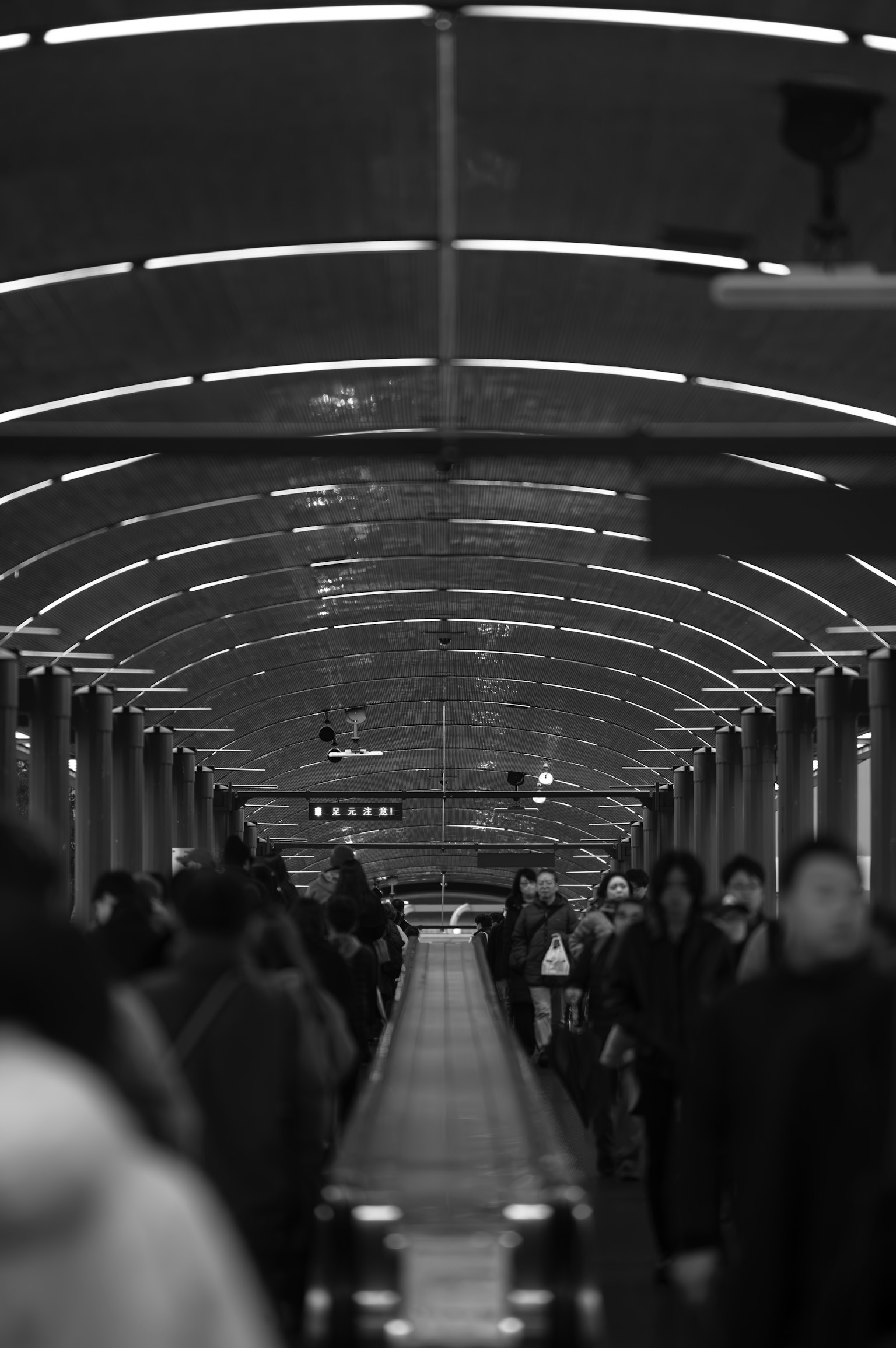 photo-u2fBVF4guROtO6tvh3gV-image