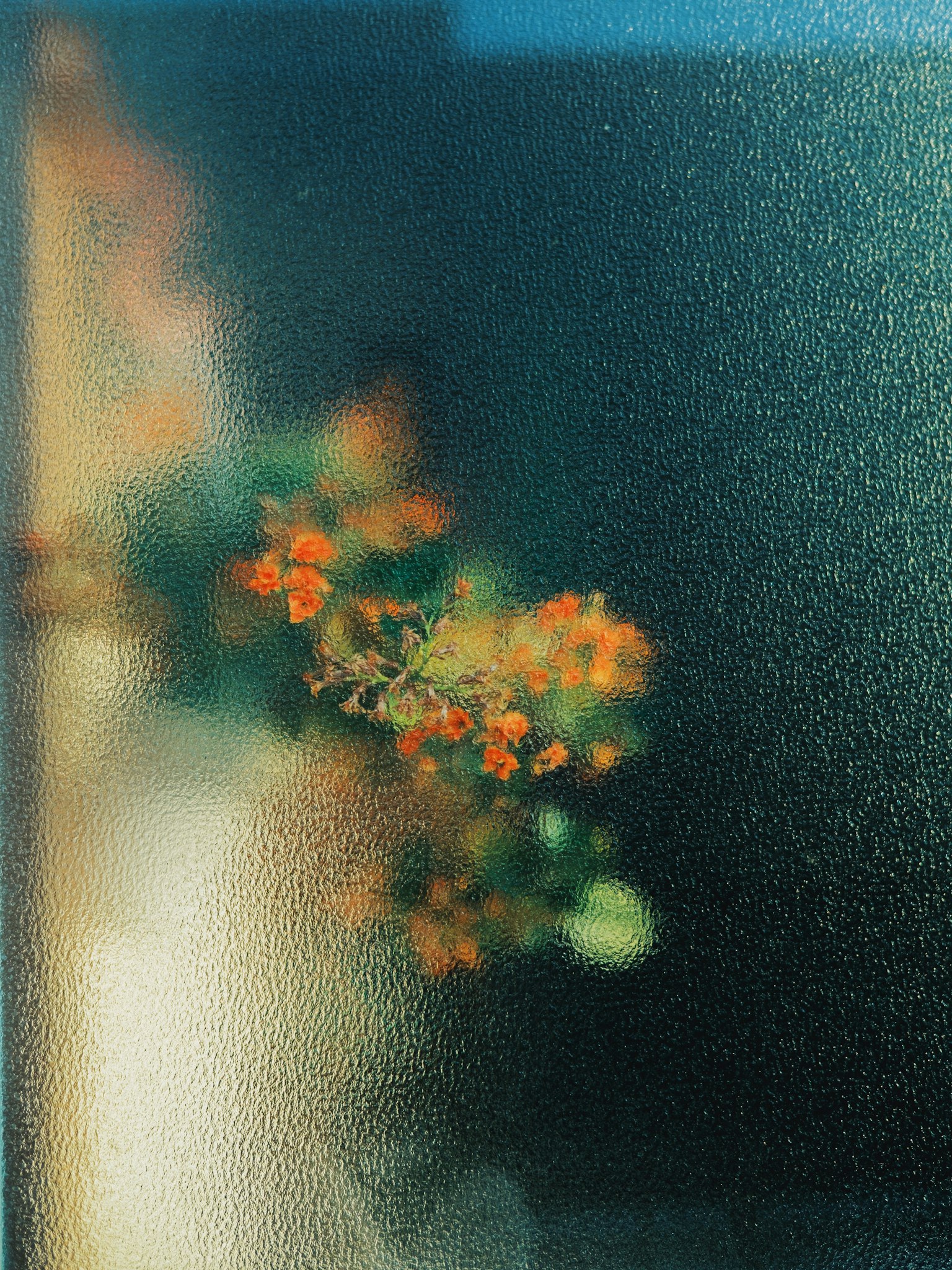 Vista sfocata di fiori arancioni all'esterno di una finestra