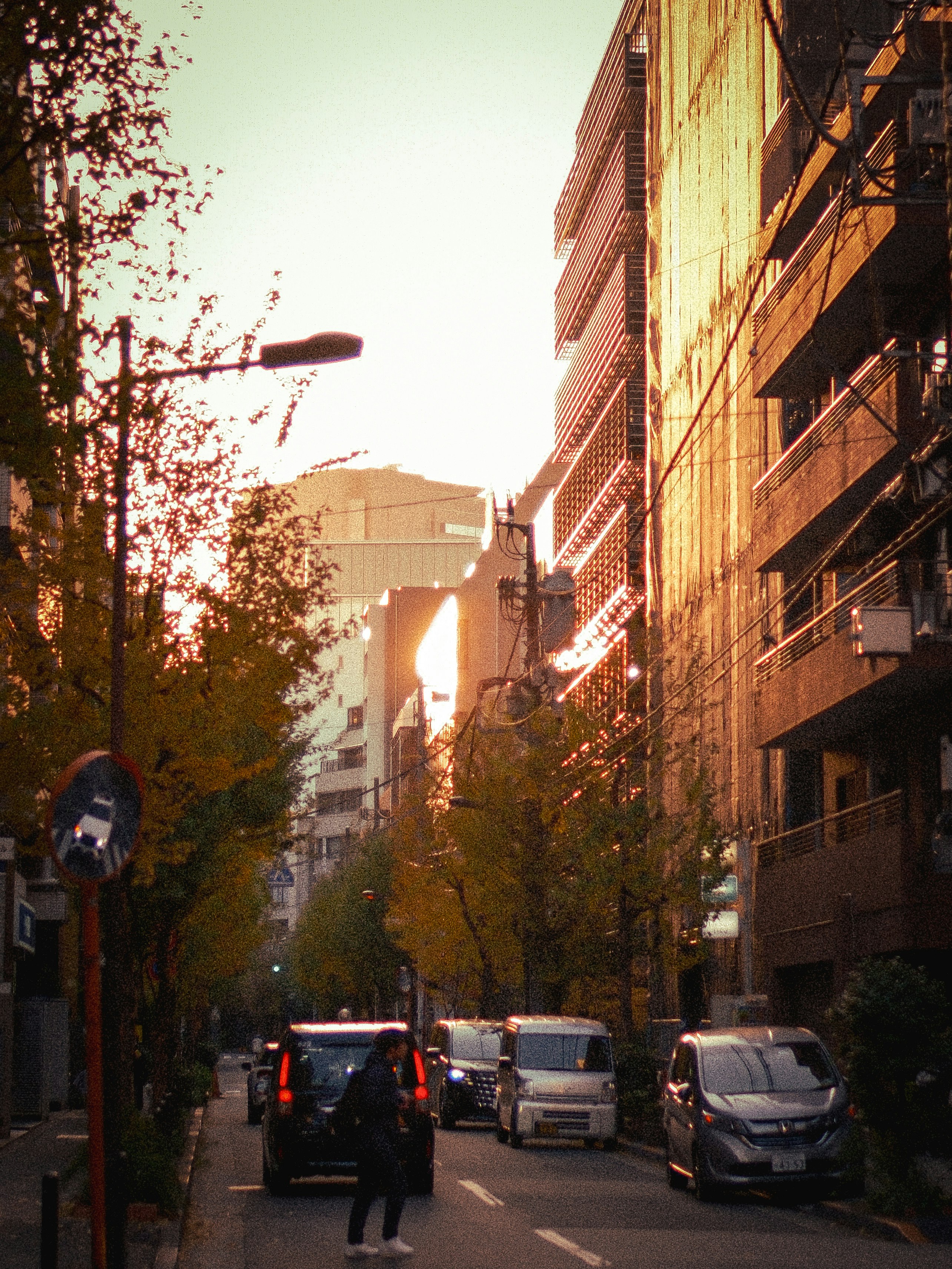 夕暮れの街路に並ぶ車と高層ビルのある都市風景