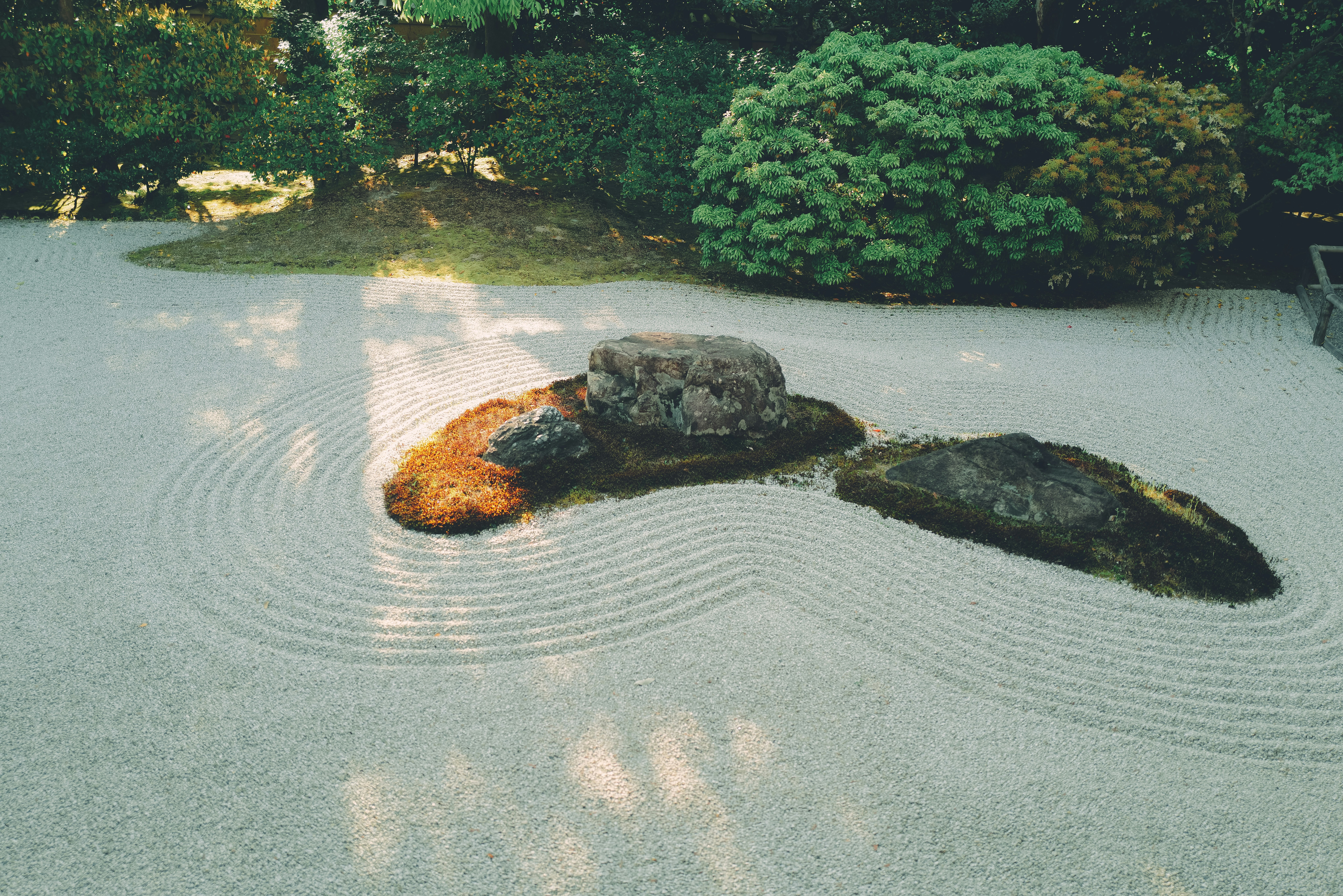 水面に浮かぶカメと波紋のある池の風景