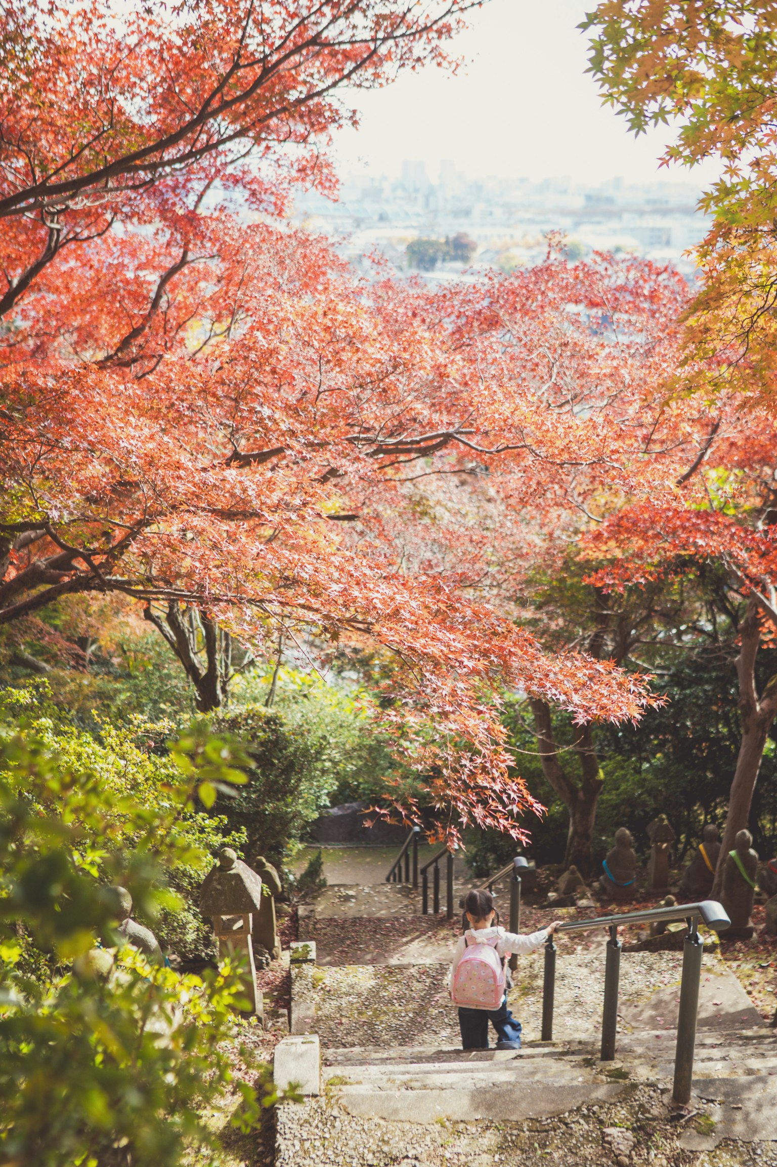 紅葉に囲まれた階段を下る人