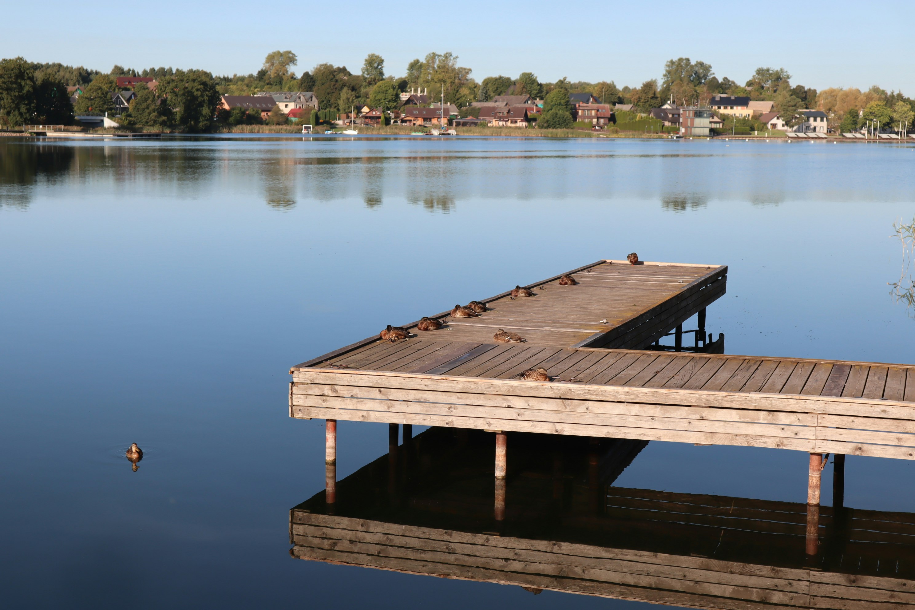 wooden dock on a calm lake with still water