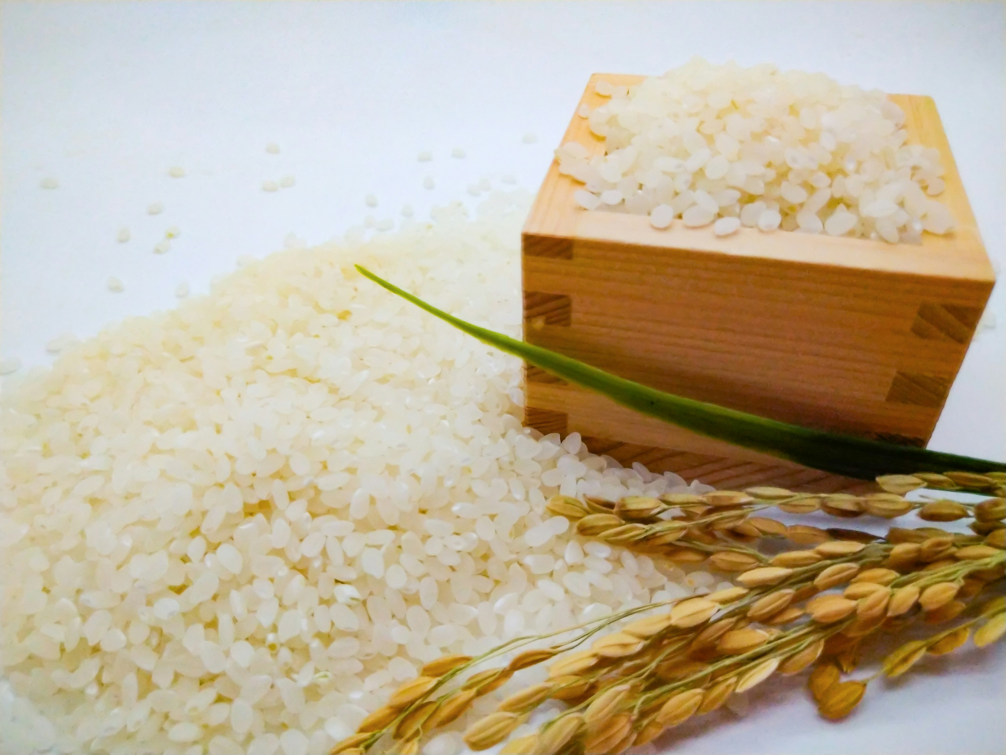 米粒と麦の穂、木箱に入った穀物