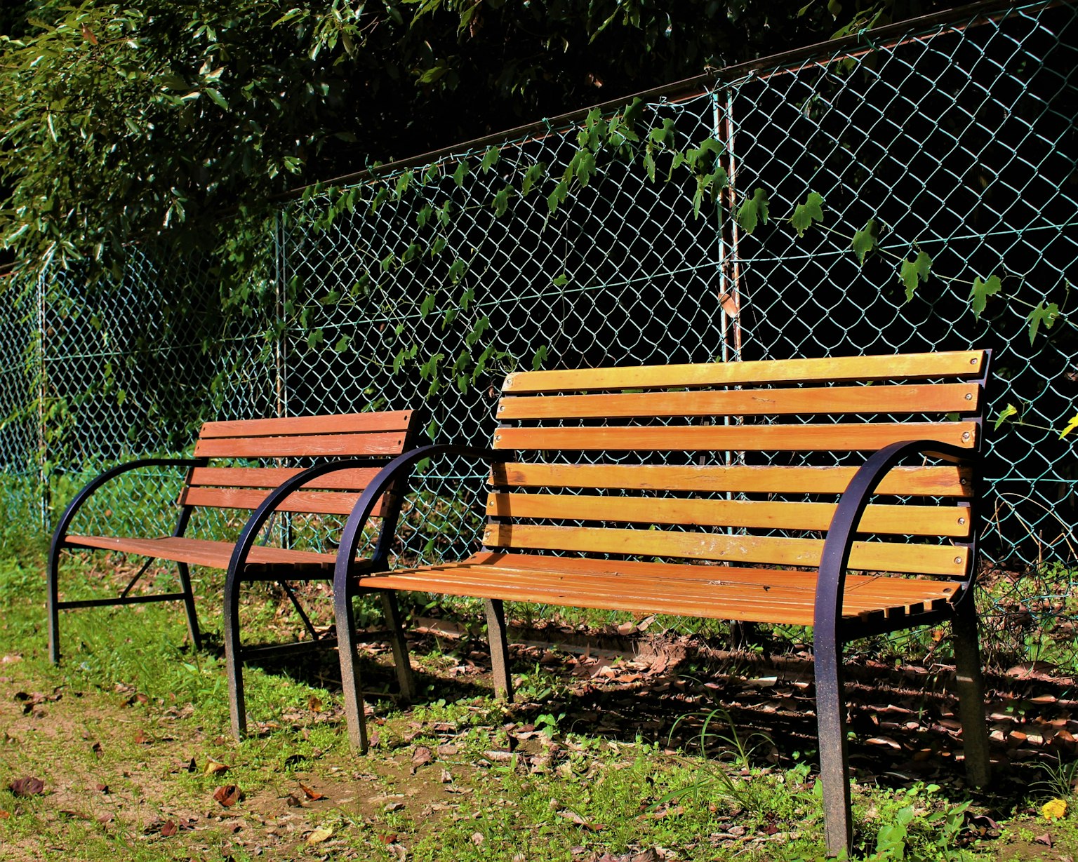 Panchine di parco con una recinzione verde sullo sfondo