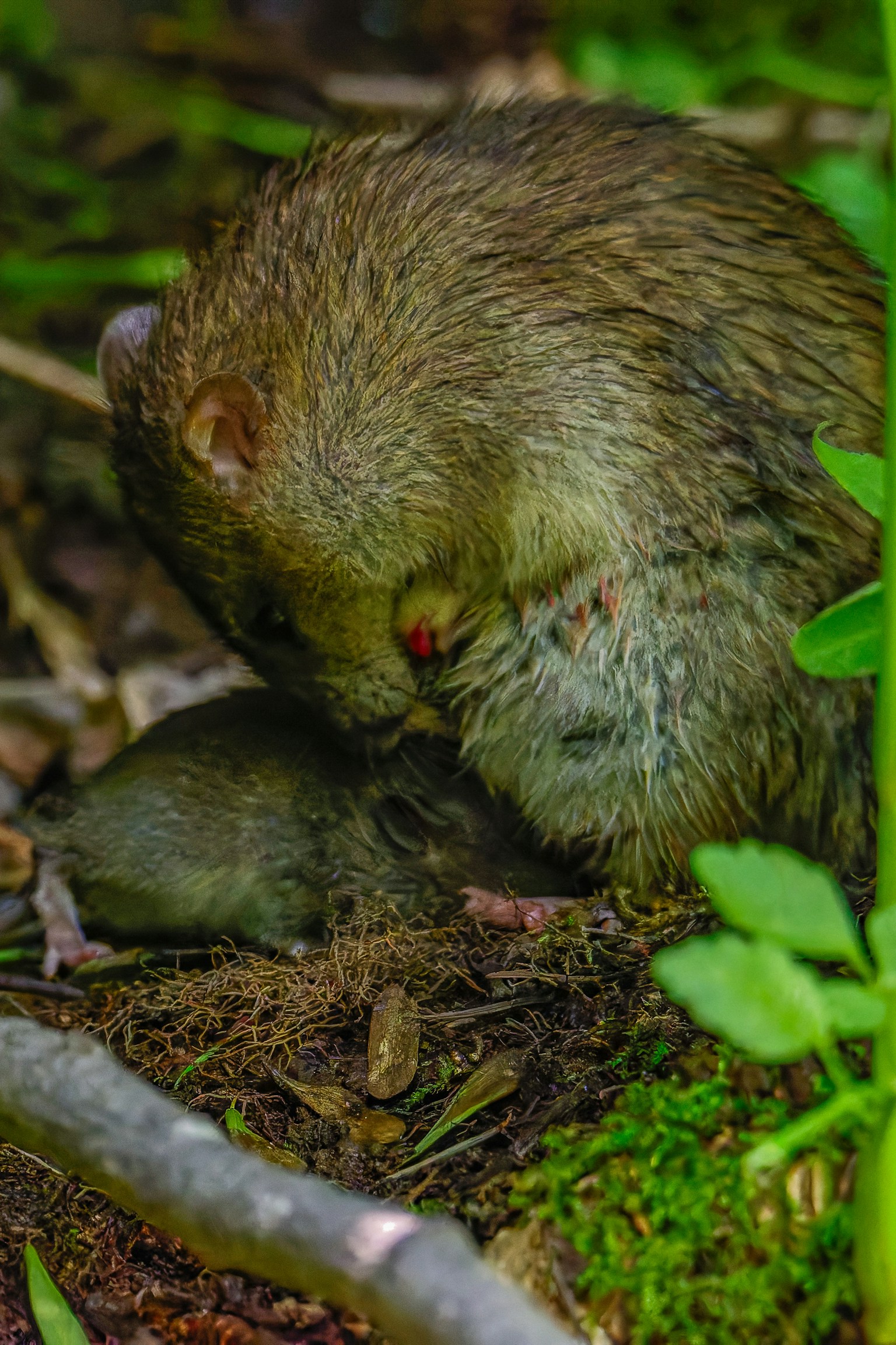 photo-u5I904G7WG8oh1COTGJq-image