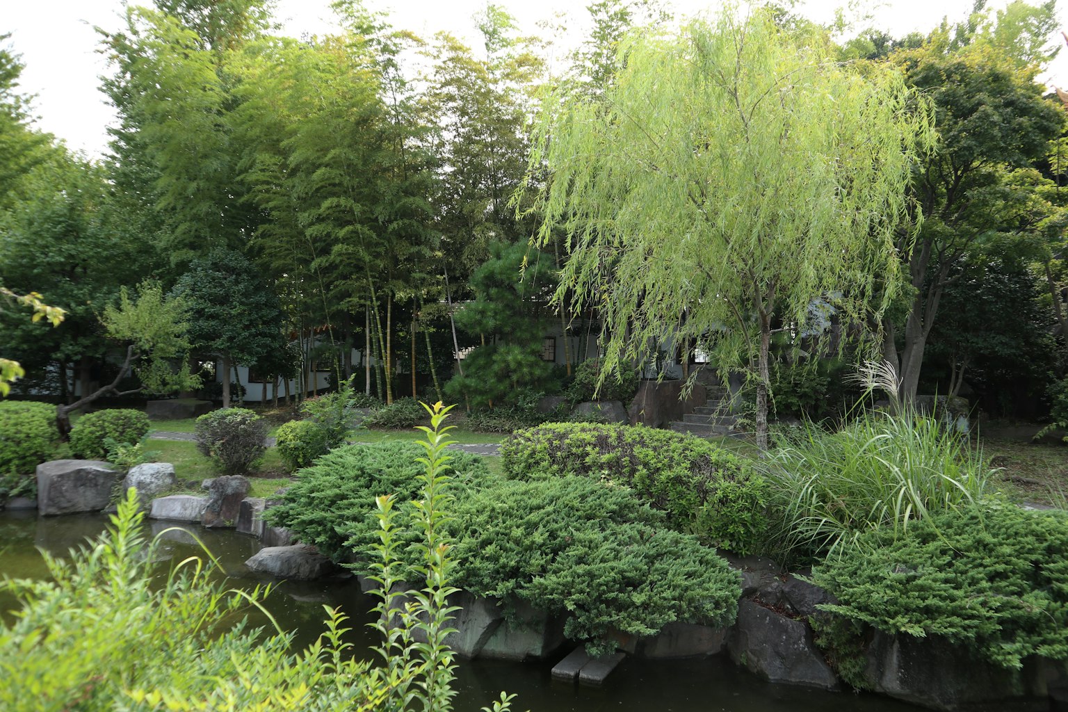 Paisaje de jardín exuberante con bambú y sauce cerca de una superficie de agua tranquila