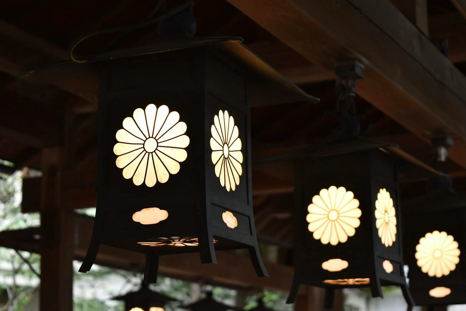 Lanterns with flower patterns illuminated against a dark background