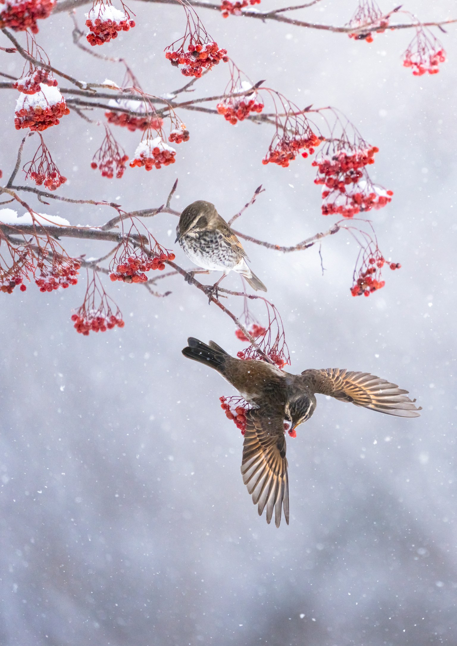 photo-u6FMgfSASMy9Xw6aMvi7-image