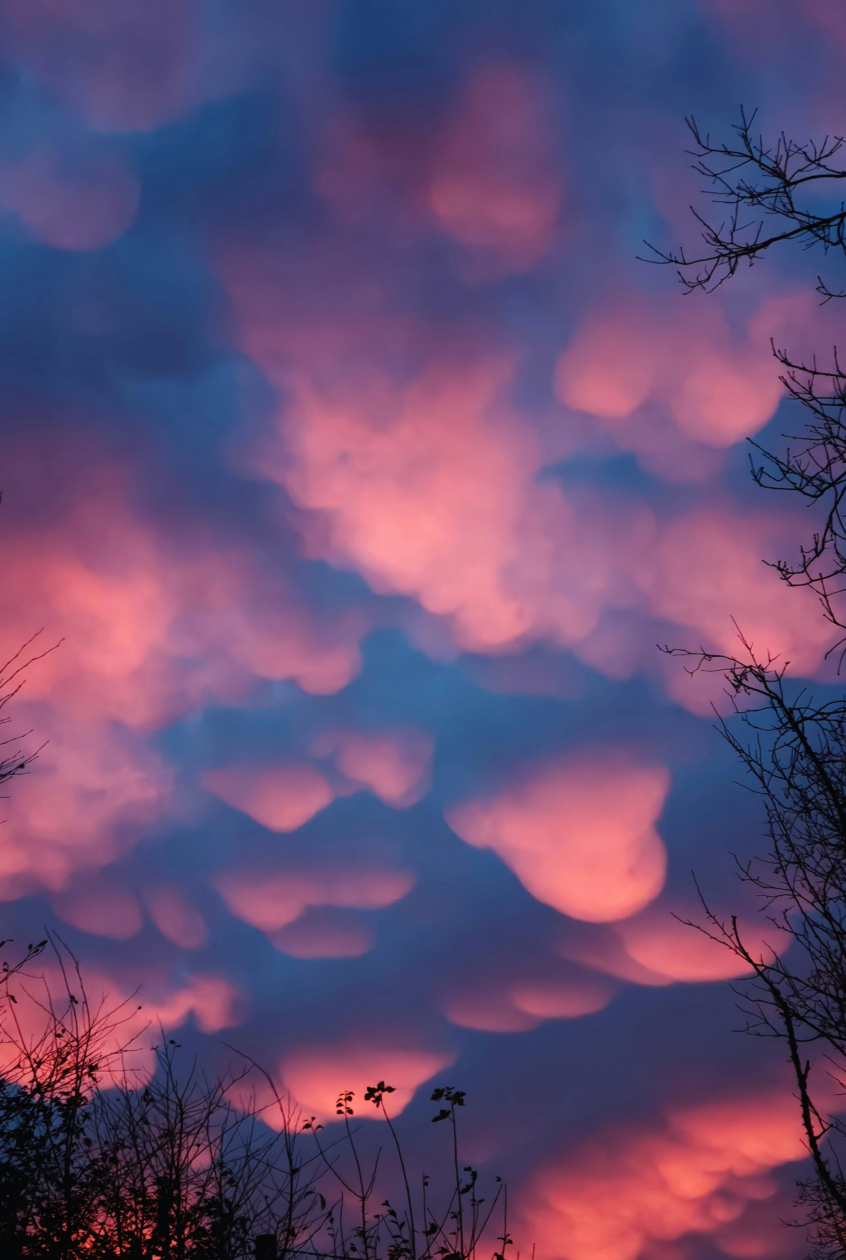 awan berwarna pink dan ungu memenuhi langit senja