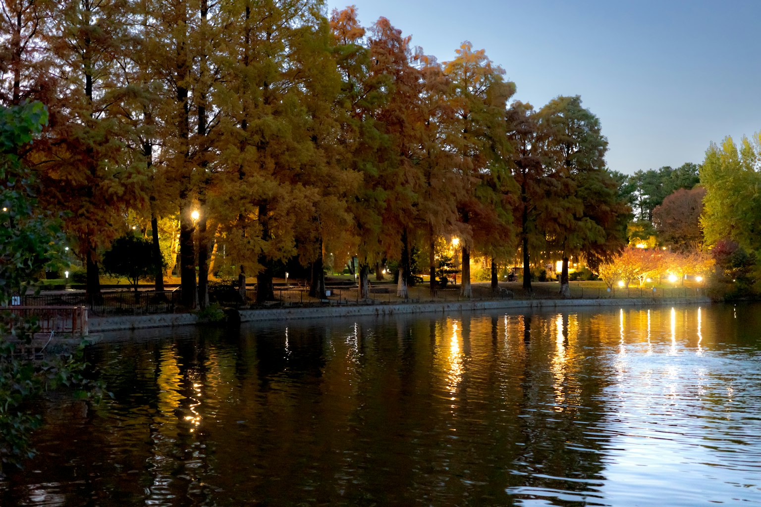Noche de otoño con lago iluminado y árboles coloridos