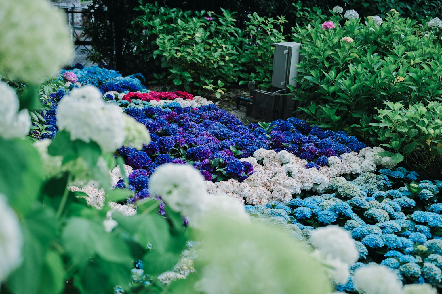 photo-u7WFH3XdUeKaSWdwMWmZ-image