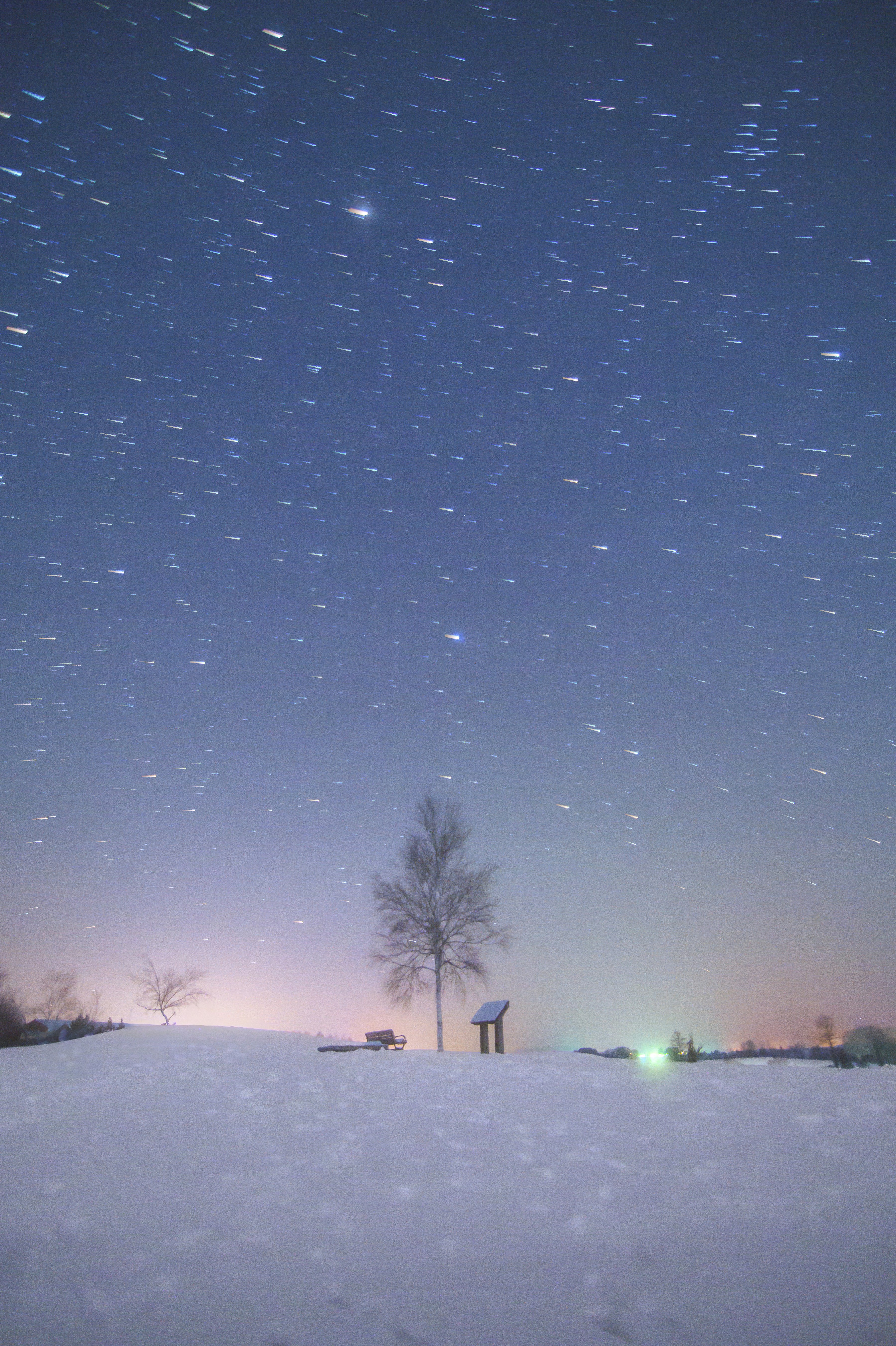 北海道美瑛町雪地上的孤樹與星空