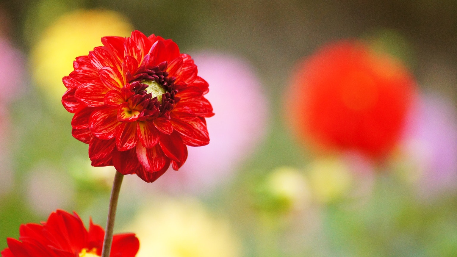 photo-u8fYpsOAVMlOxS1uiqlY-image