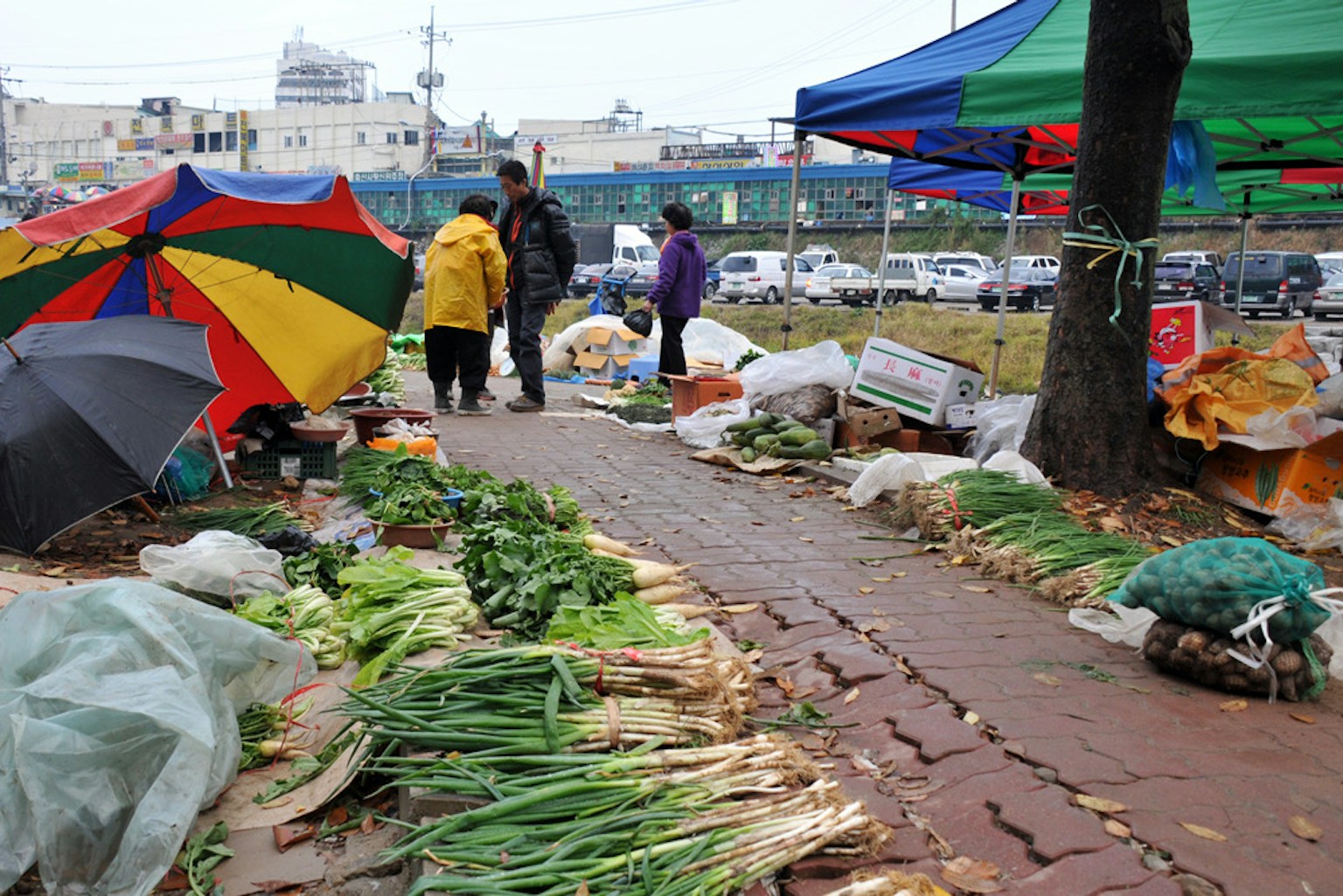 Personas vendiendo verduras en un mercado con paraguas coloridos y productos frescos