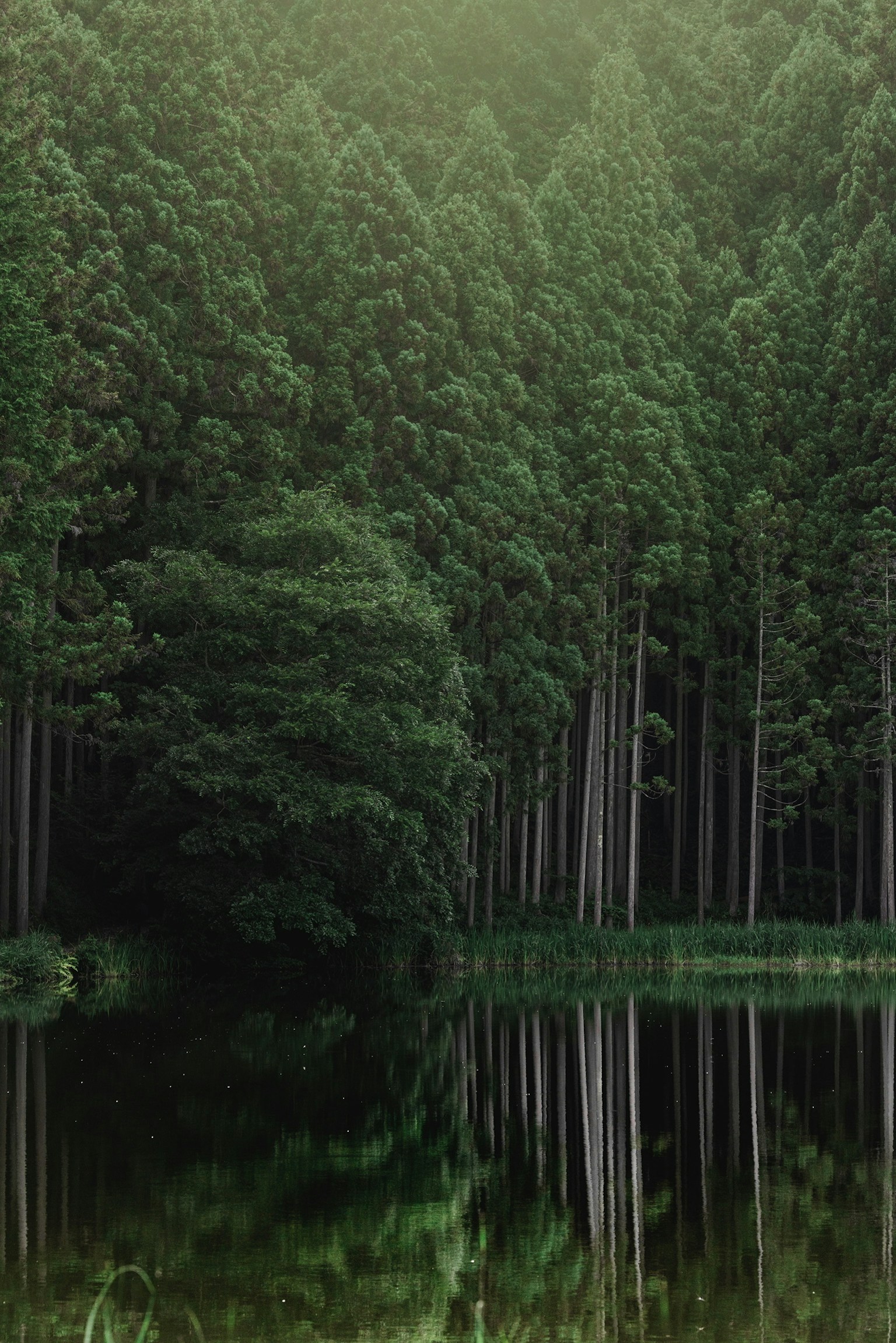 photo-u8kLHvnPsZzWhH60c3eG-image