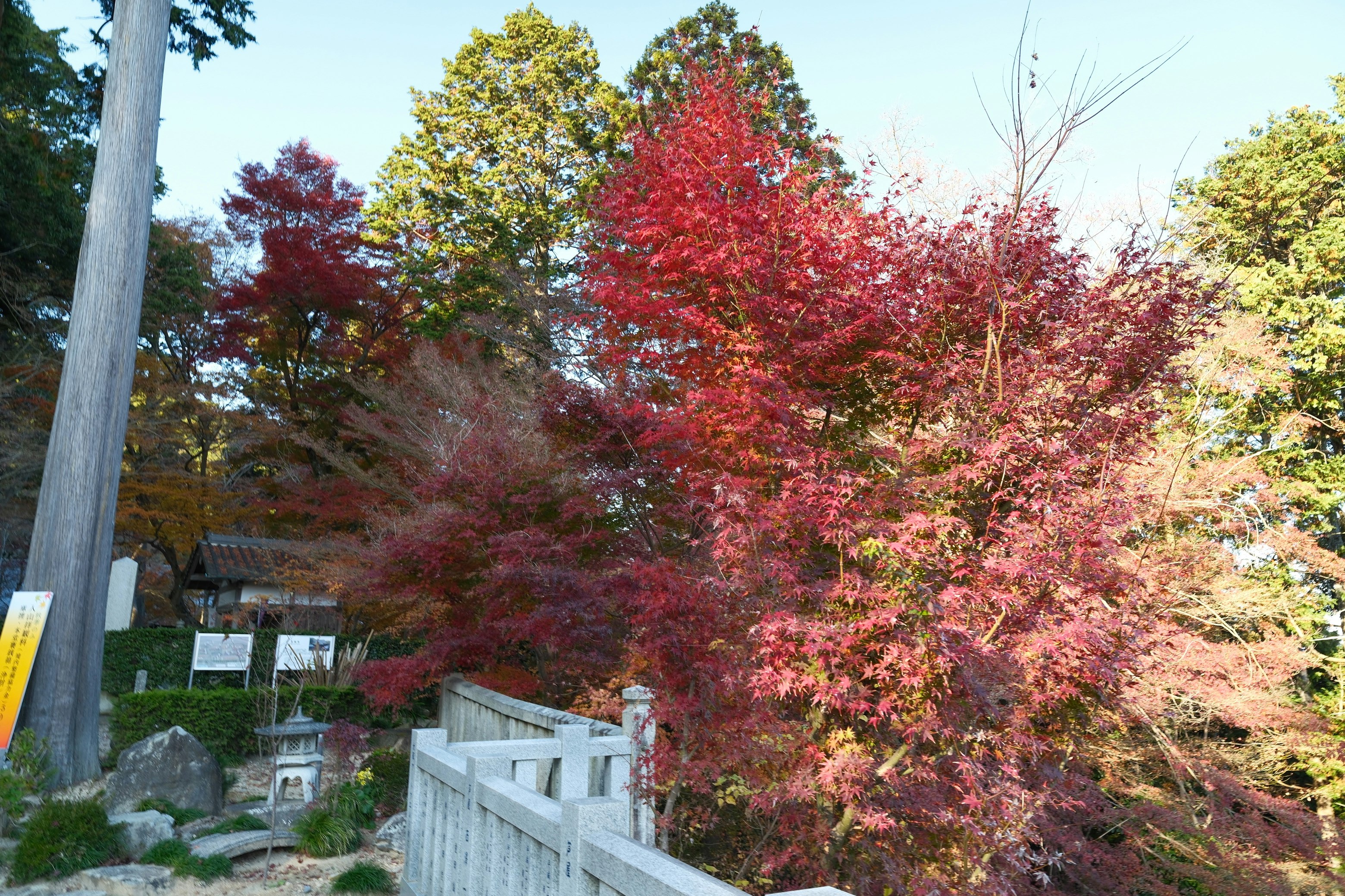 紅葉が彩る瓦屋寺の参道沿いの石灯籠と柵