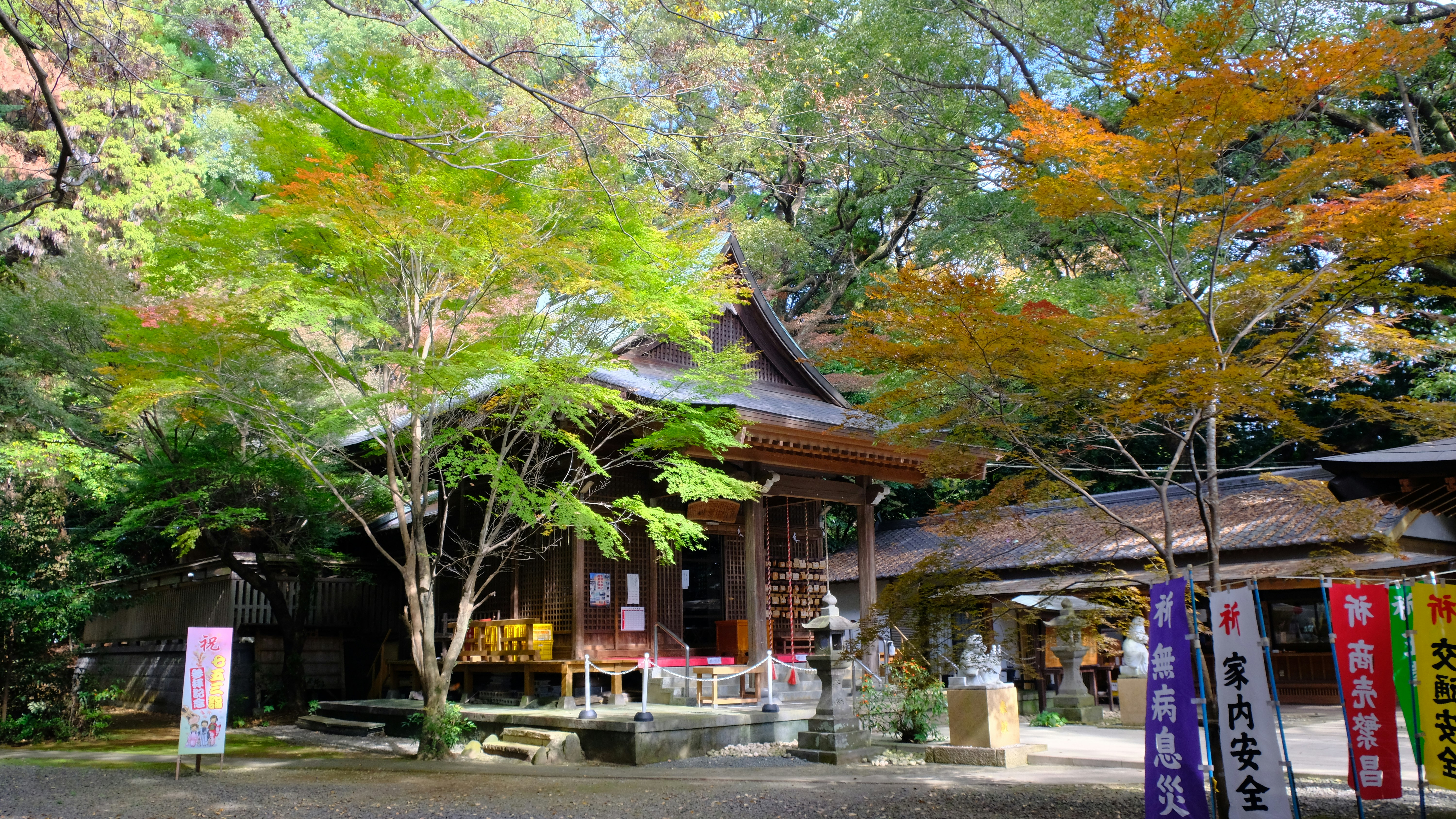 紅葉と緑に囲まれた神社の社殿と参道の風景