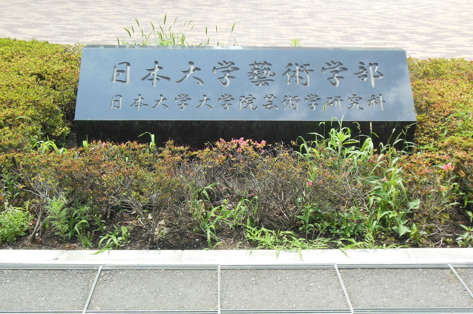 Panneau noir de l'Université Nihon Arts avec des plantes vertes environnantes