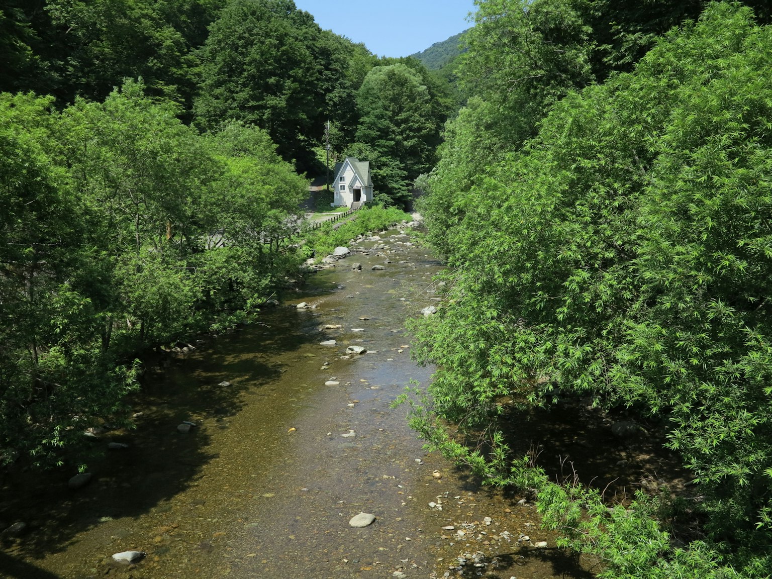 Scenic view of a stream surrounded by lush greenery