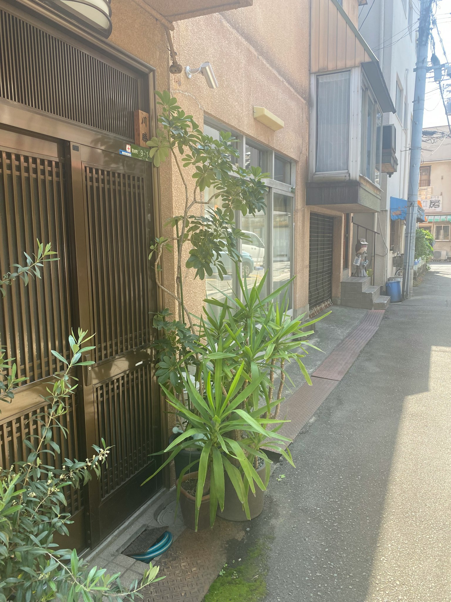 Scena di una strada stretta con un edificio e vegetazione davanti