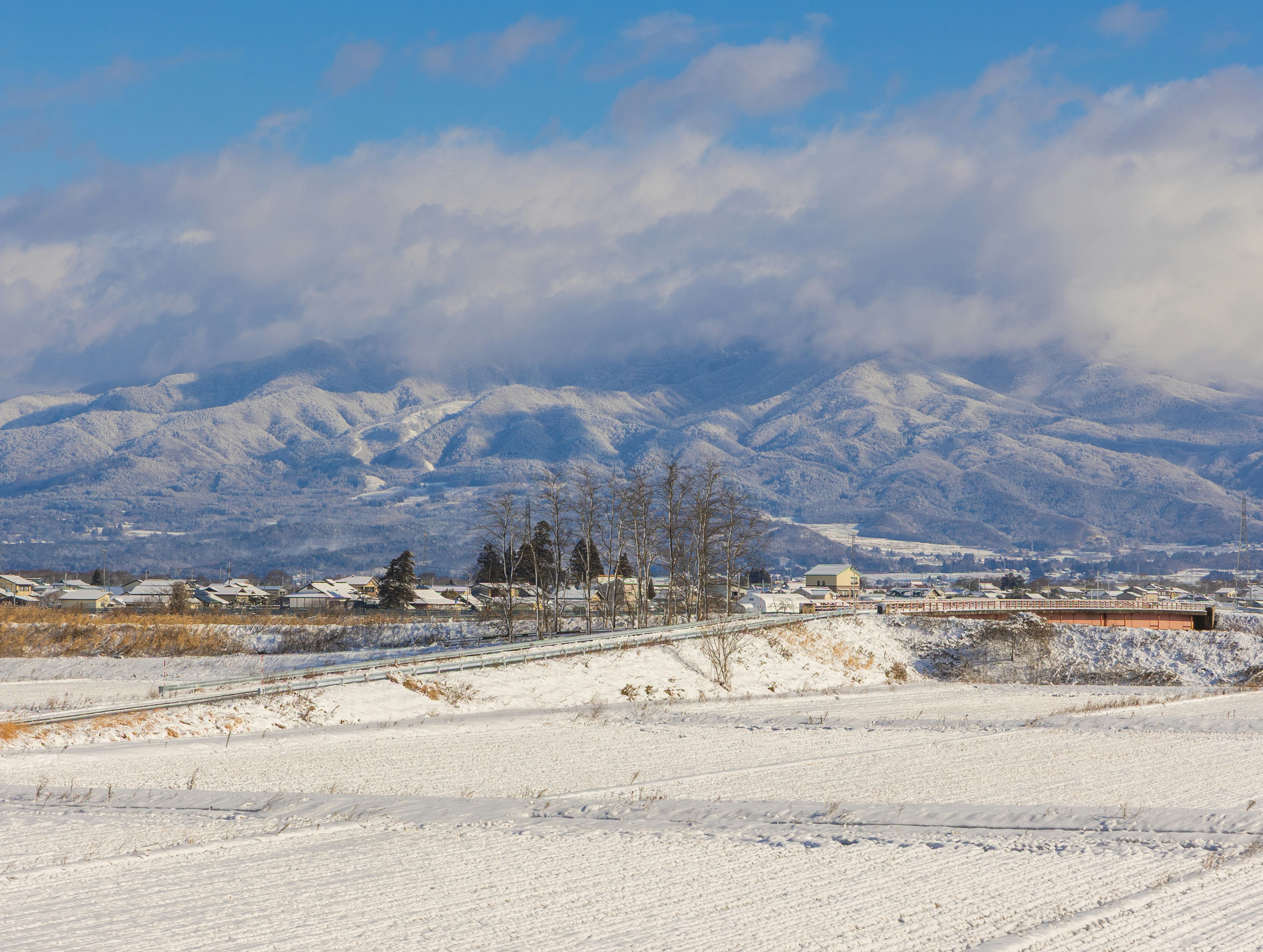 雪の積もる広い畑と山並みの風景