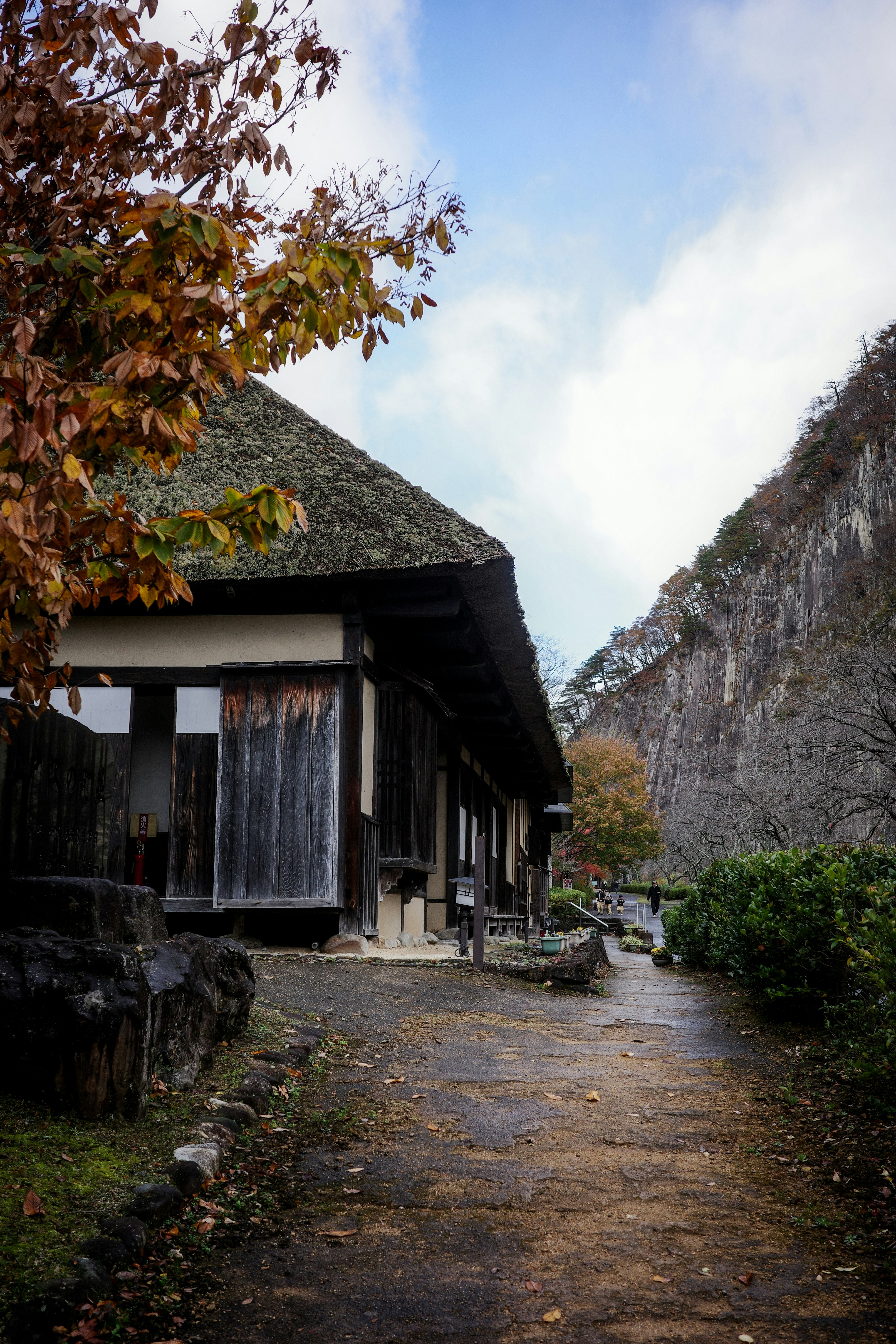 石垣と茅葺き屋根が並ぶ小道のある集落の風景