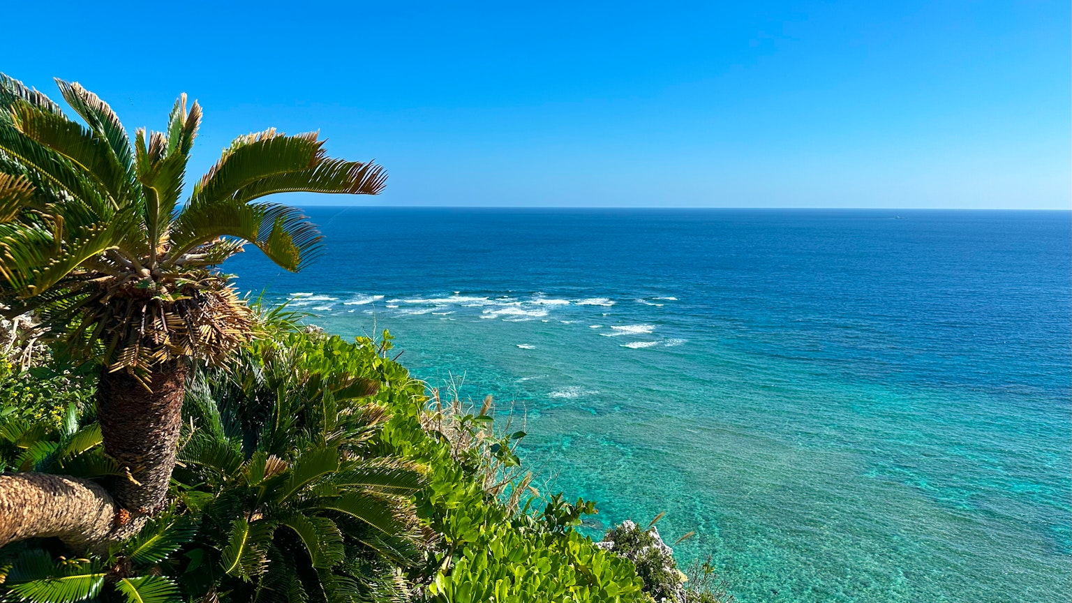 Blick auf grüne Palmen über einem blauen Ozean und klarem Himmel