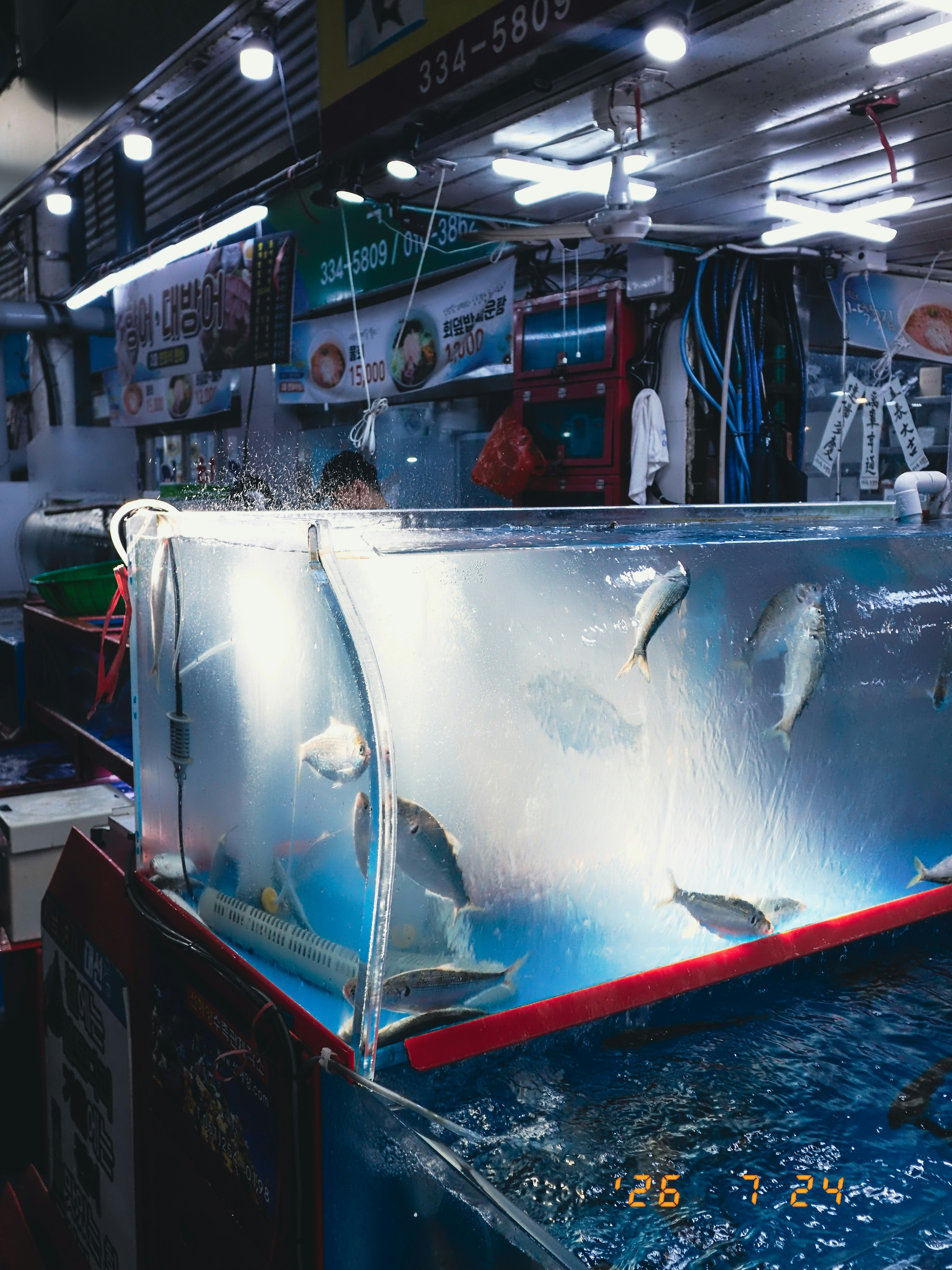 釜山の国際市場（グッポ市場）で並ぶ屋内の魚売り場の水槽と看板