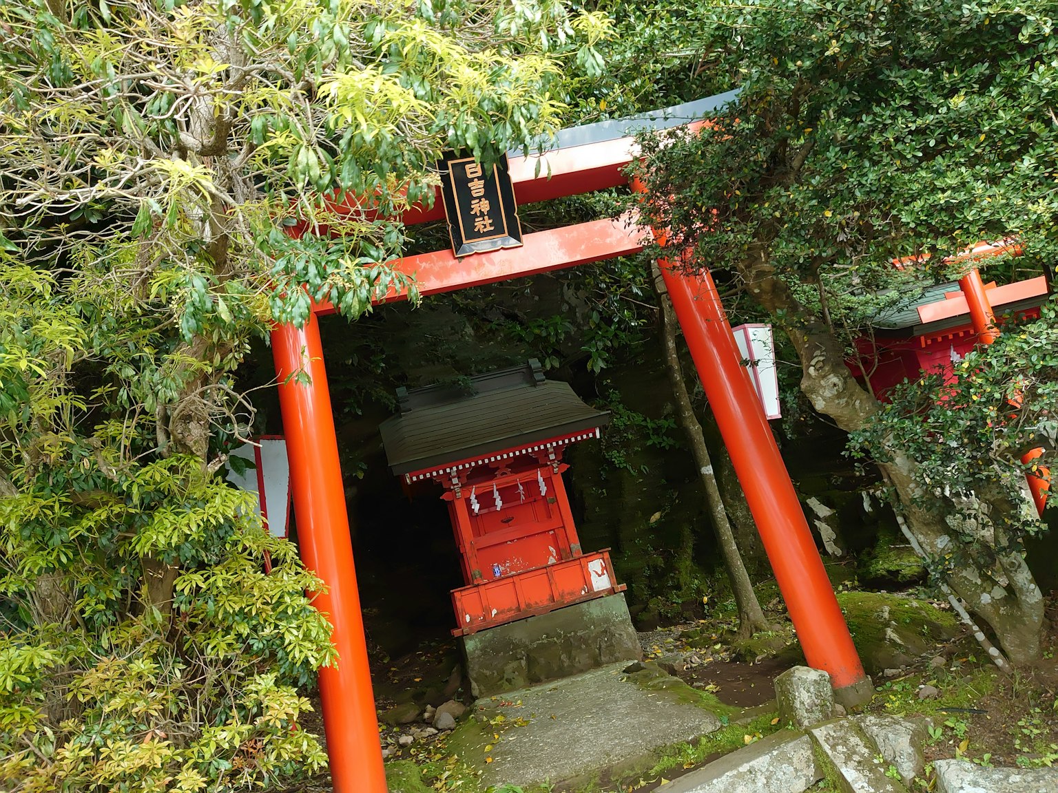 A shrine entrance with red torii gates surrounded by lush green trees