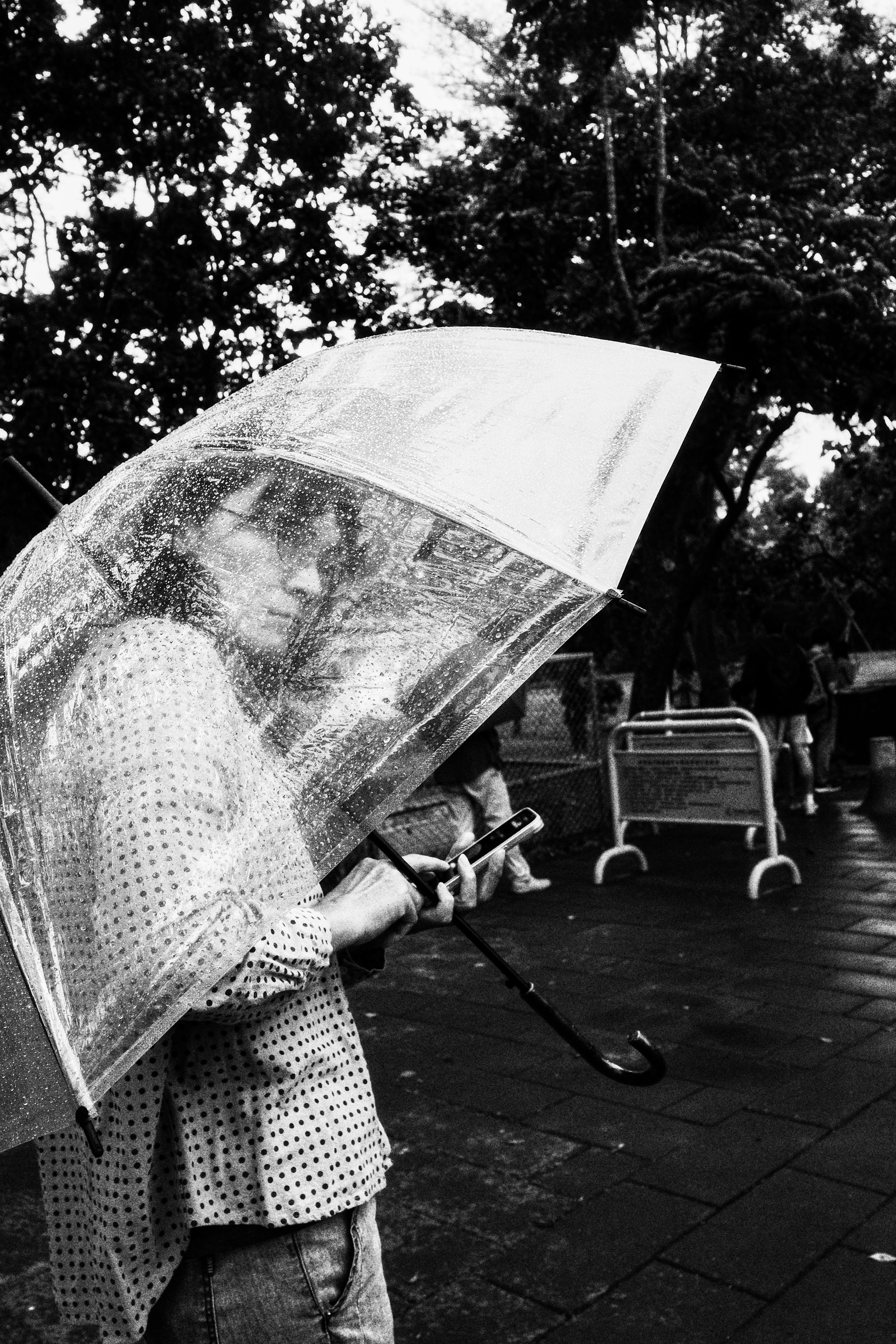 outdoor tree-lined walkway with an umbrella and a bench