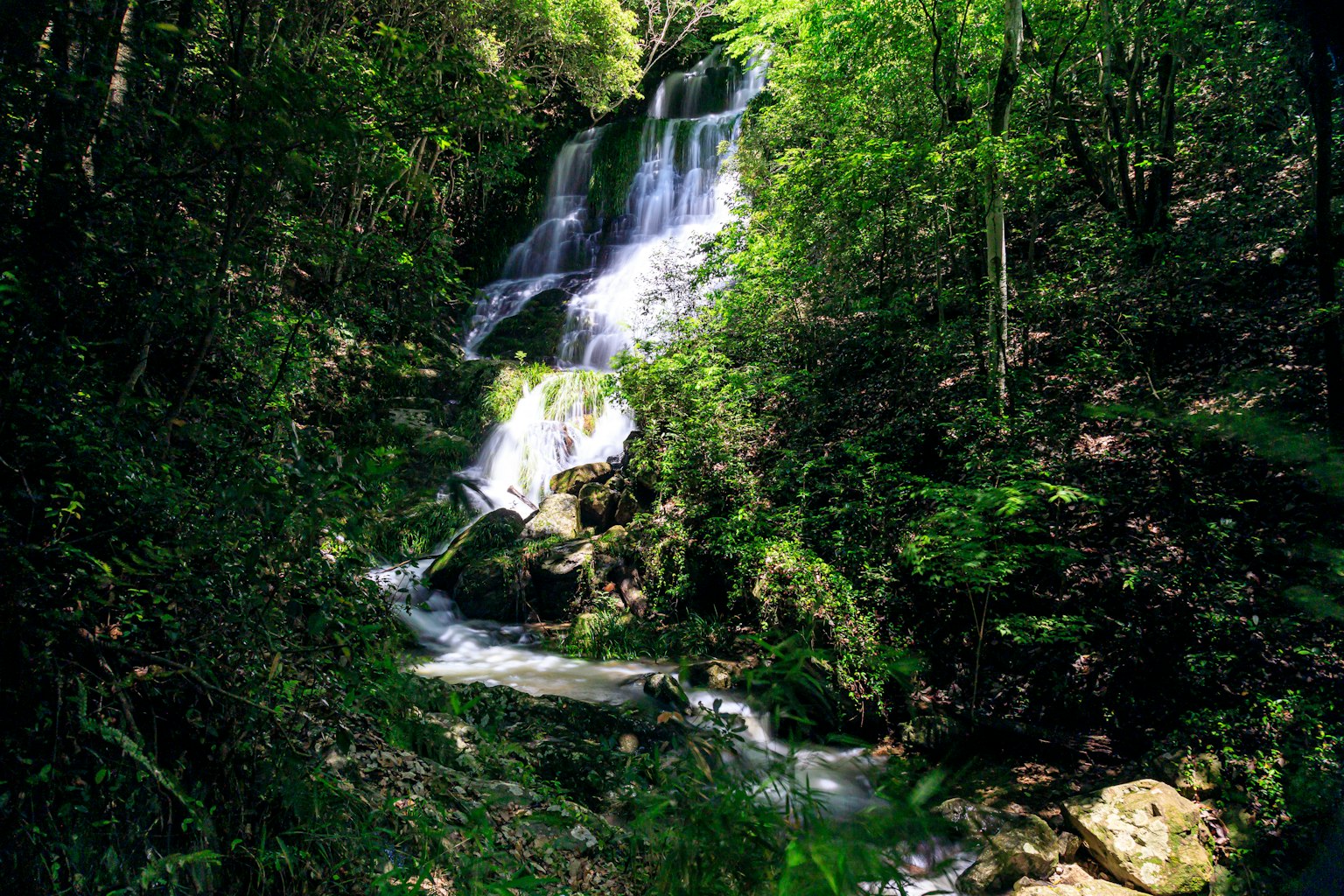 Wasserfall, der durch einen üppig grünen Wald fließt