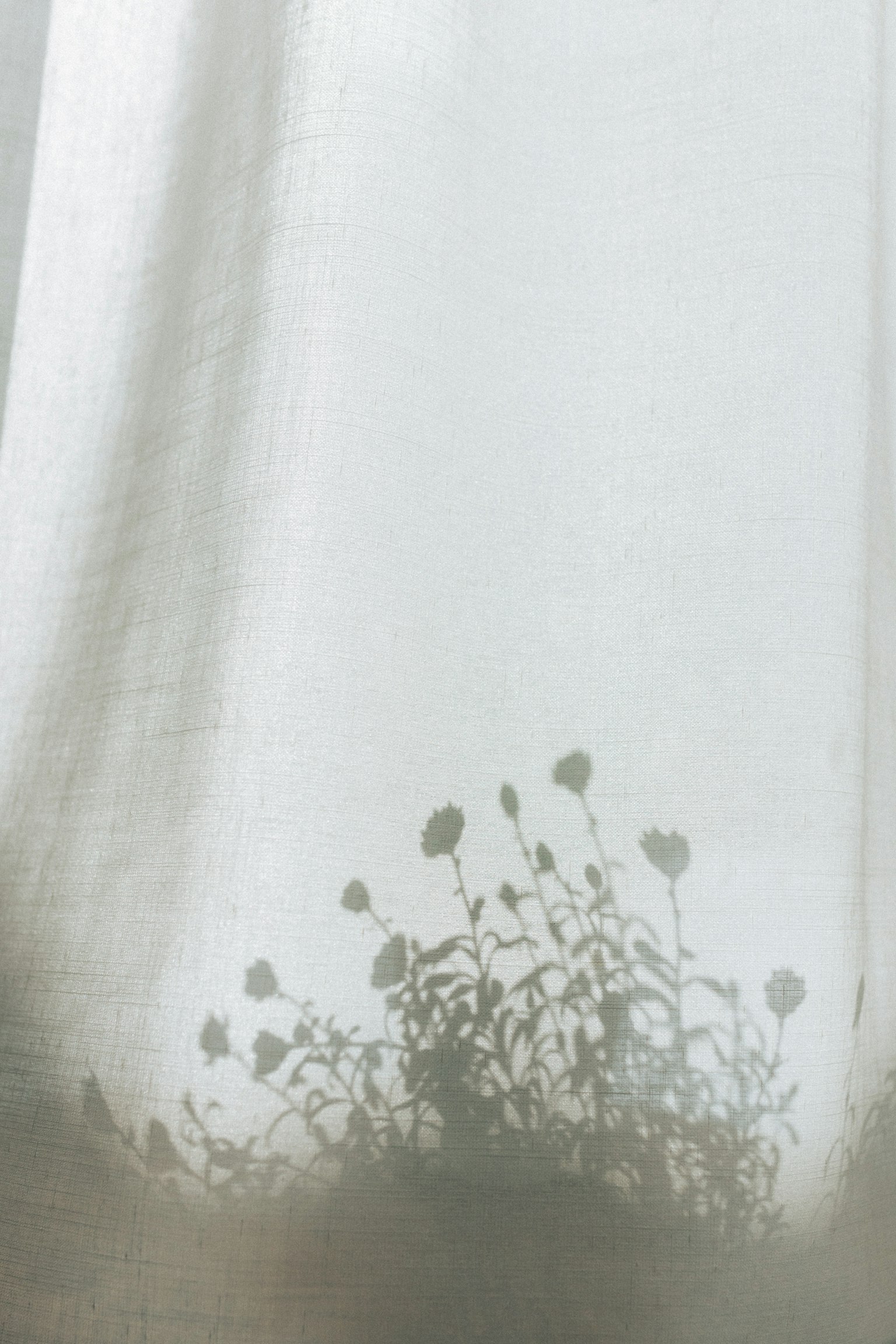 Shadow of plants visible through a sheer white curtain
