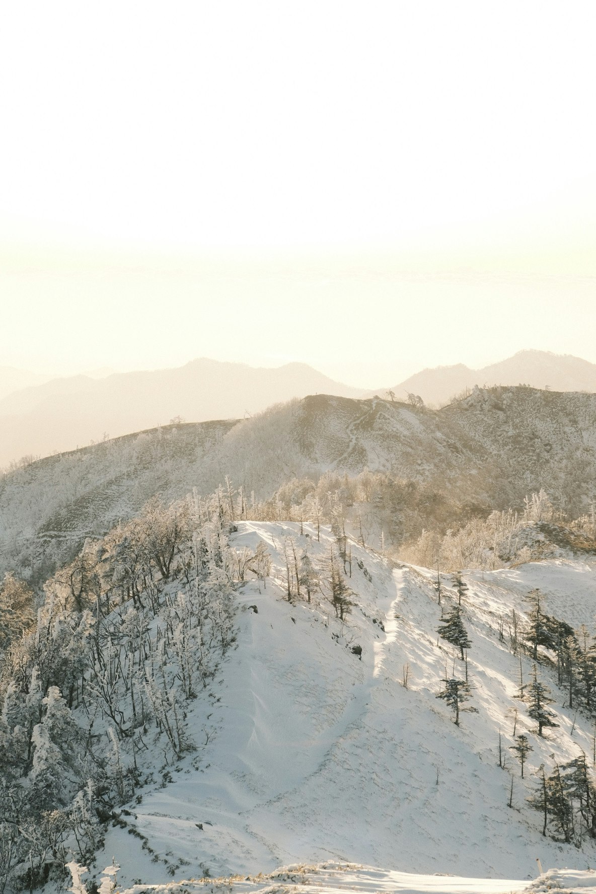 雪の山並みと霧のかかった稜線の眺め