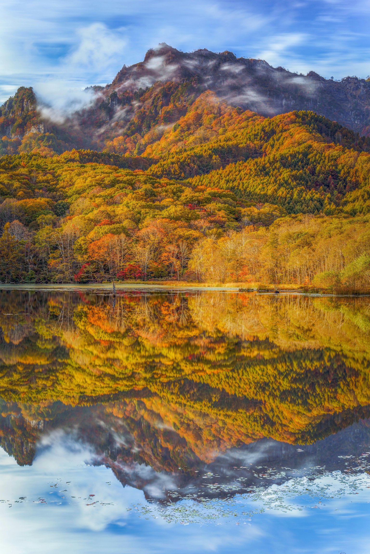 photo-uERmJwb8tJcjh6e3PwDv-image