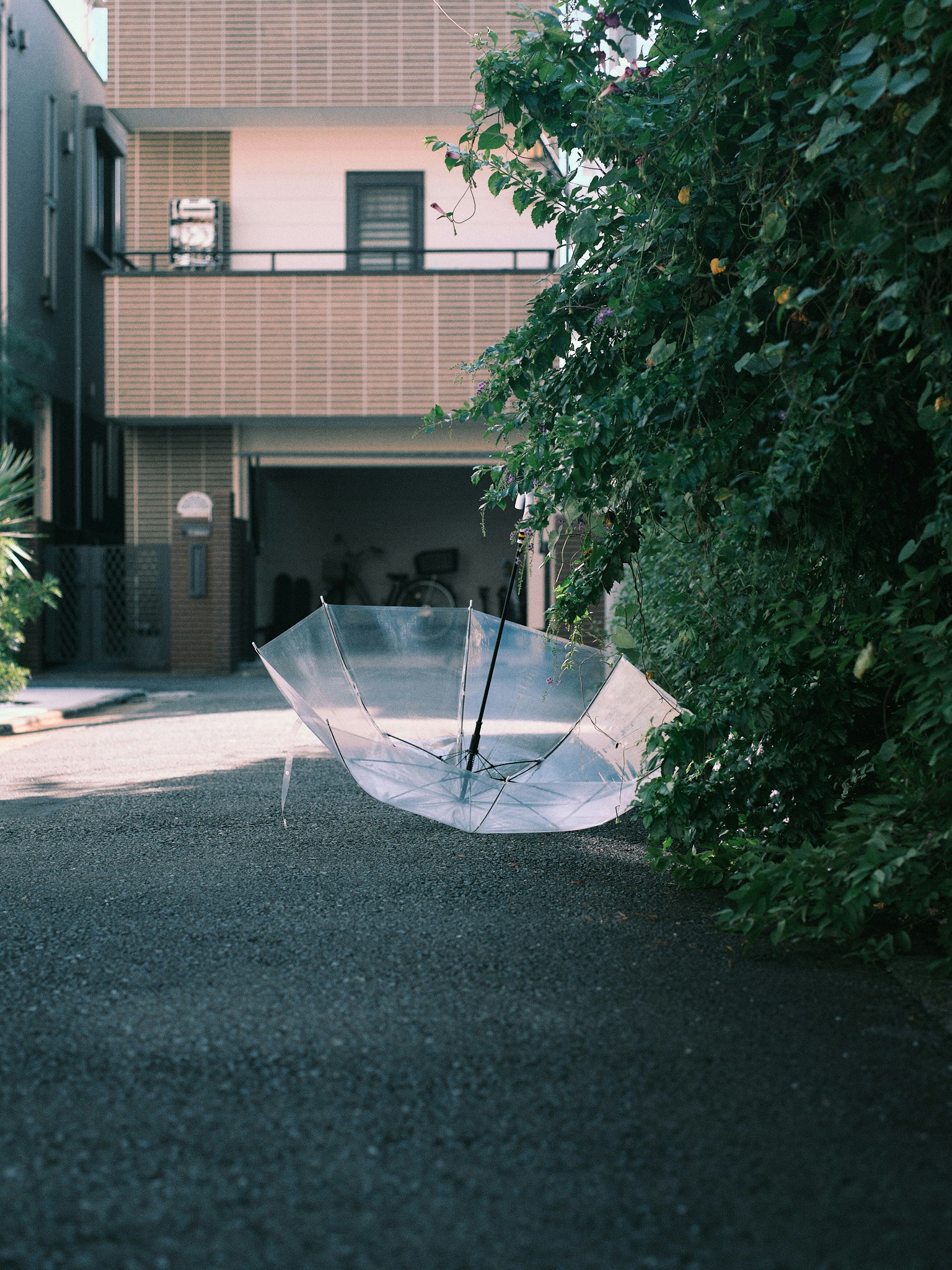 A transparent umbrella lying on the ground in a residential area