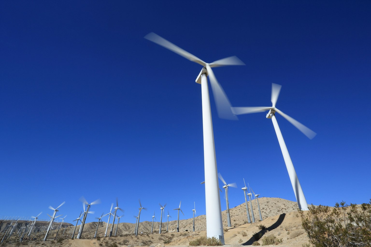 Un groupe de turbines éoliennes tournant sous un ciel bleu