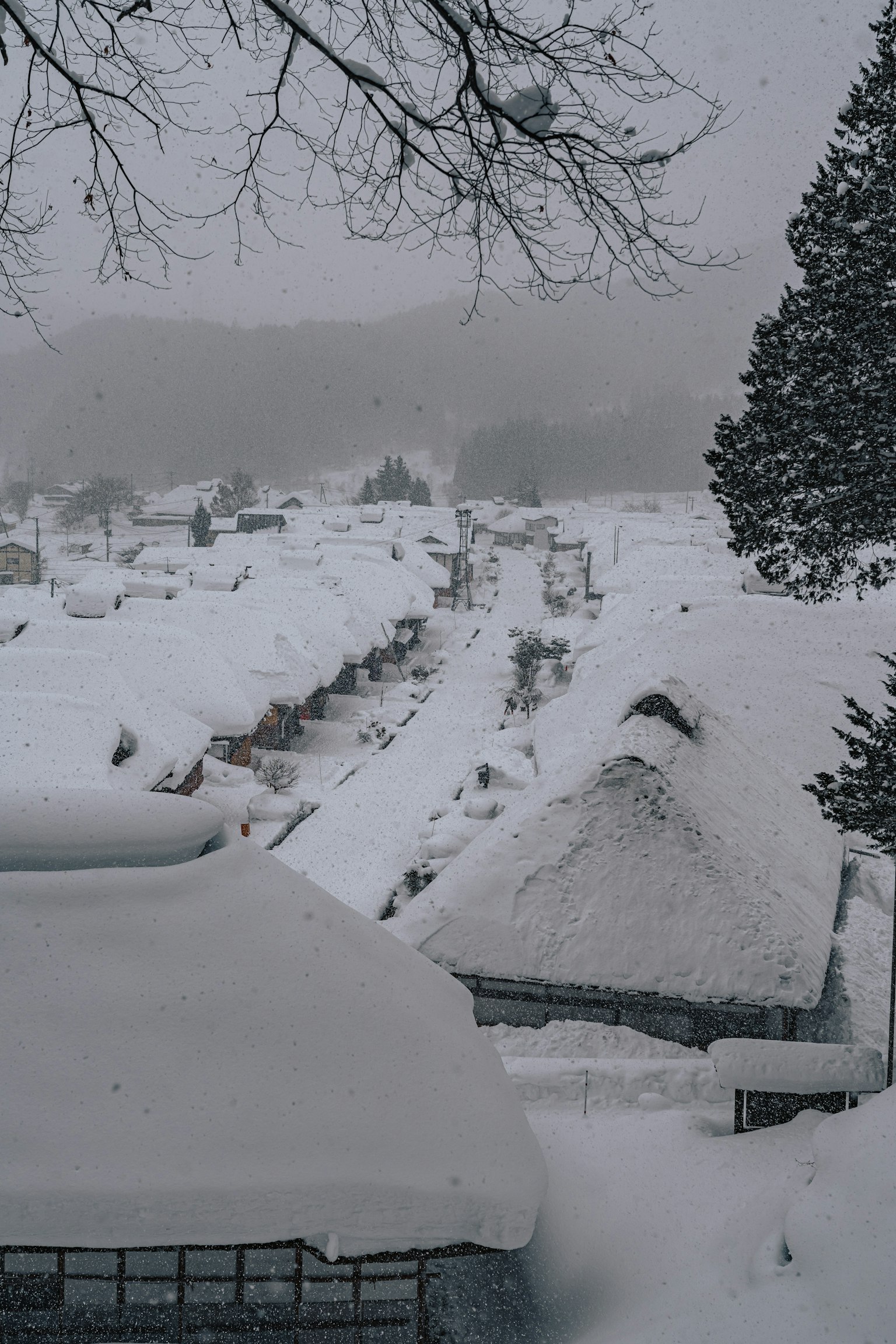 被雪覆蓋的傳統房屋及寧靜的冬季景觀