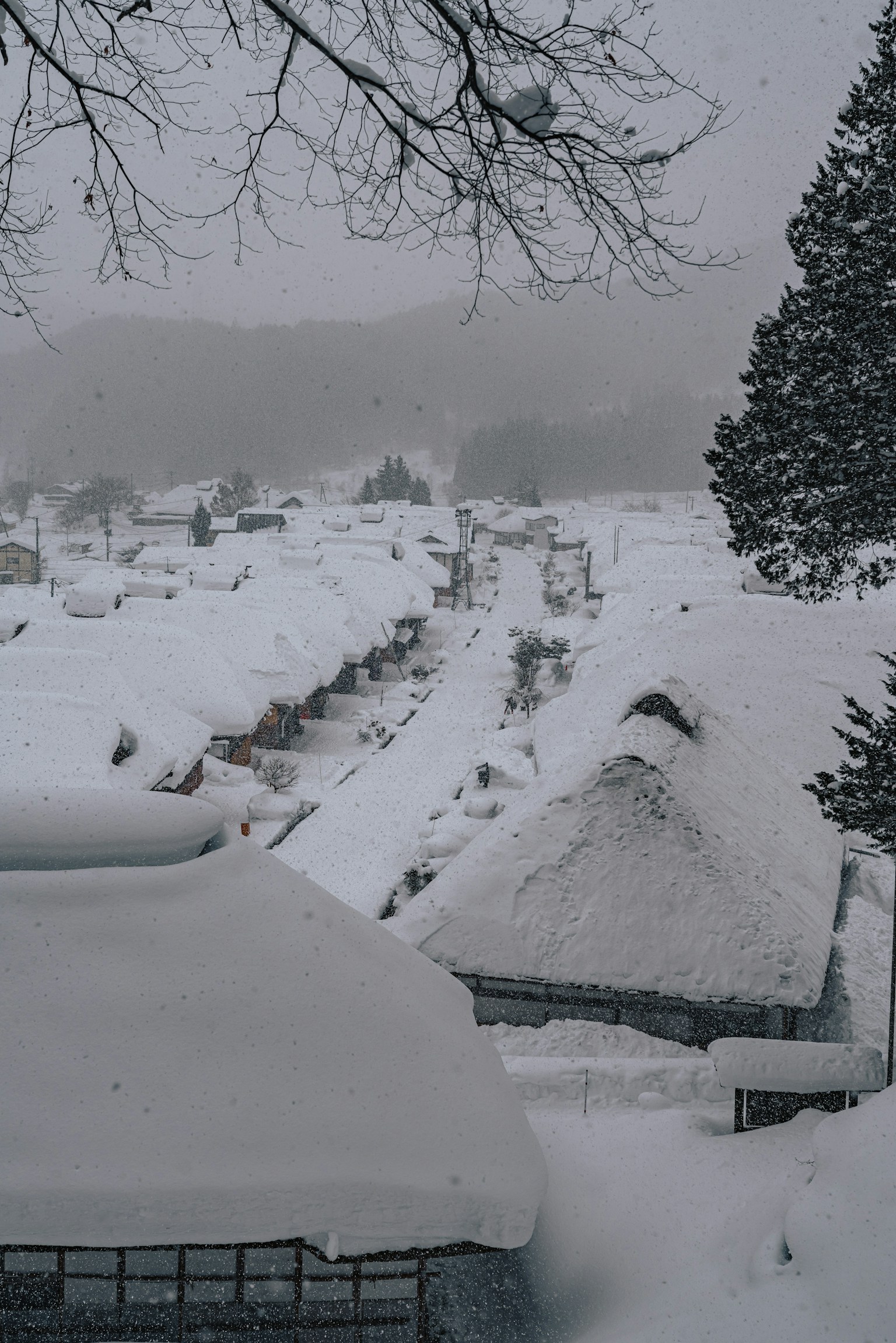 被雪覆蓋的傳統房屋及寧靜的冬季景觀