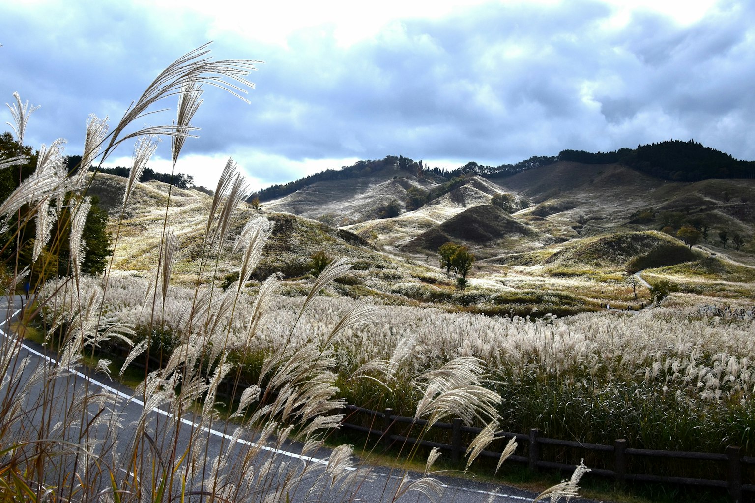 Cảnh quan rộng lớn của cỏ pampas và đồi núi lượn sóng
