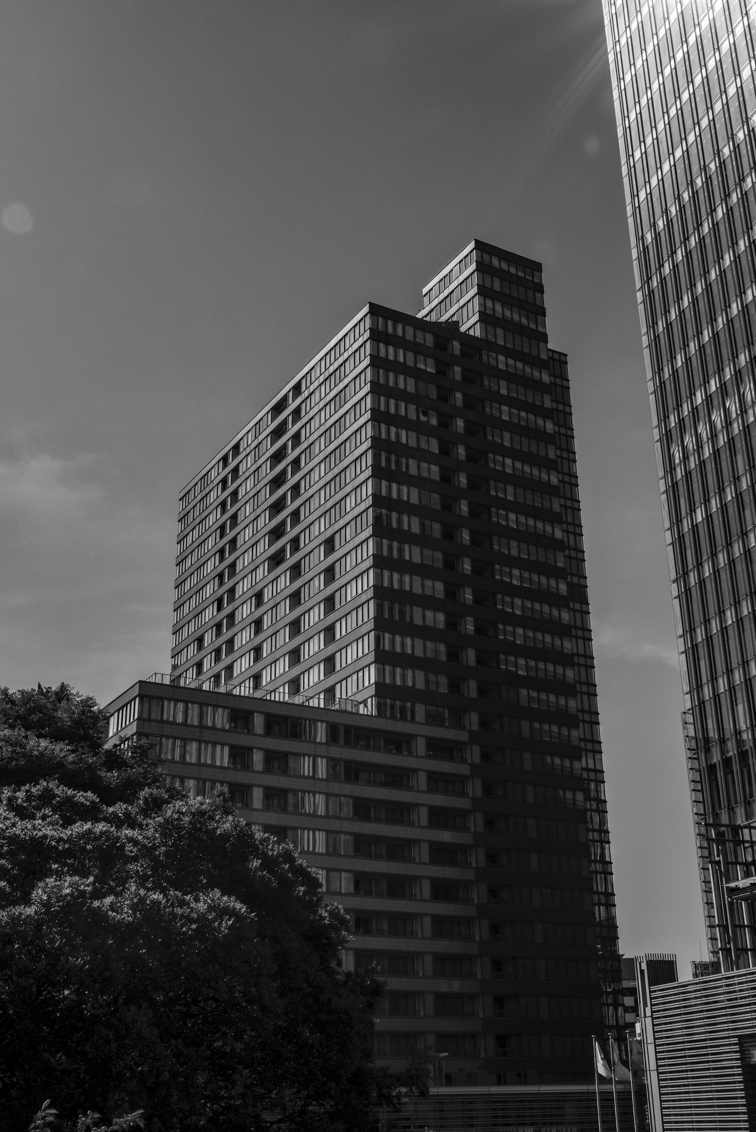 Paisaje urbano con un edificio alto y árboles verdes