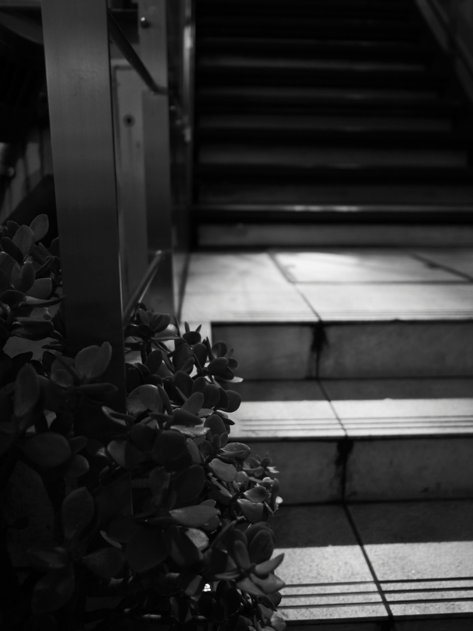 photo-uFavc9BHkm8U1GR2GSNb-image
