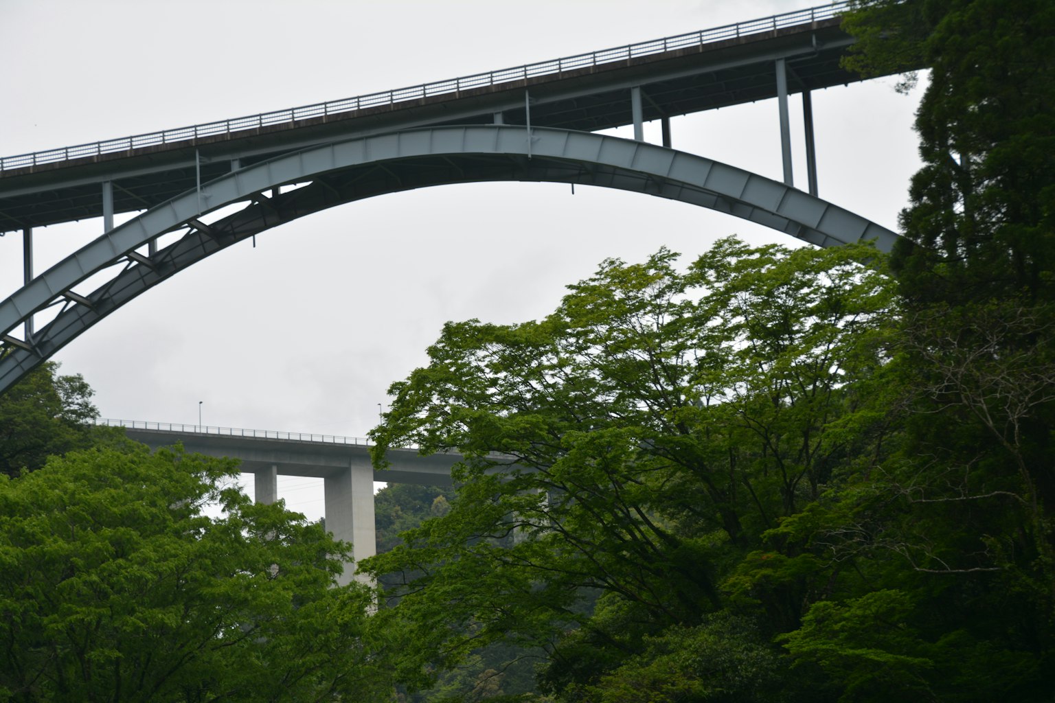 被郁郁蔥蔥的樹木部分遮擋的拱形橋
