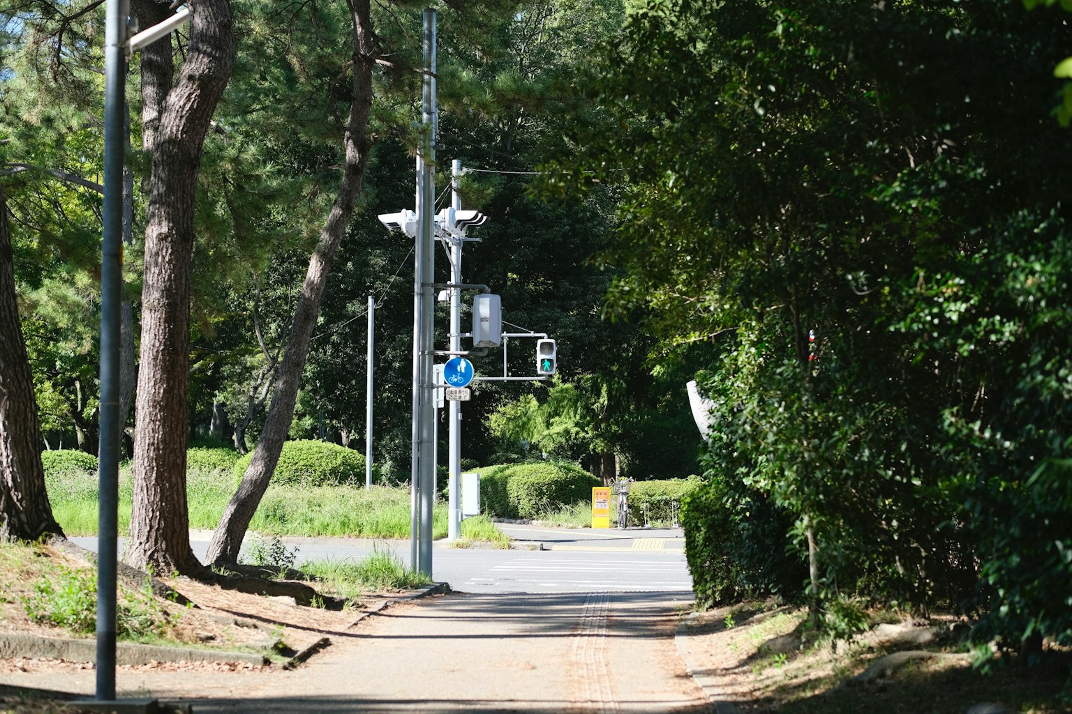Weg in einem grünen Park mit Straßenlaternen und Verkehrsampeln