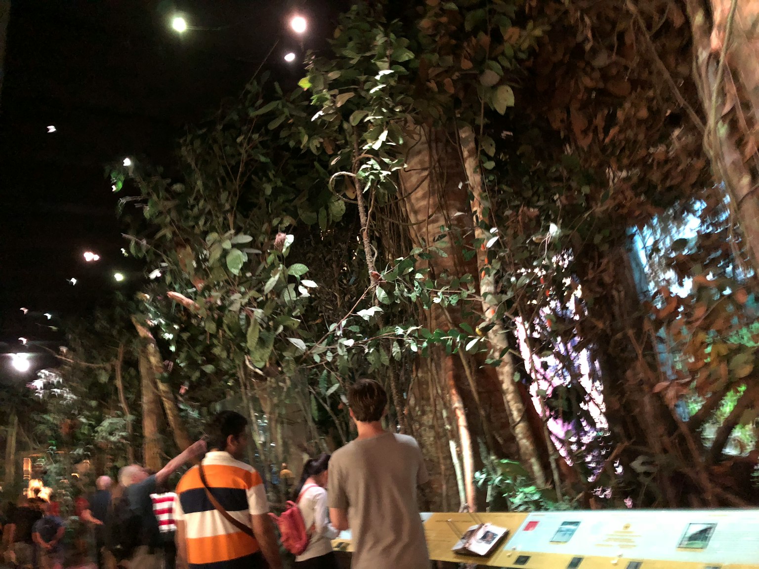 室內展覽展示郁郁蔥蔥的樹木和遊客