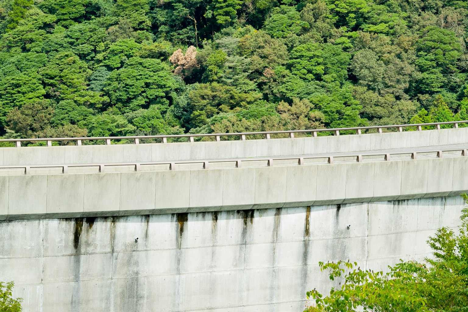 Upper section of a concrete dam against a lush green backdrop