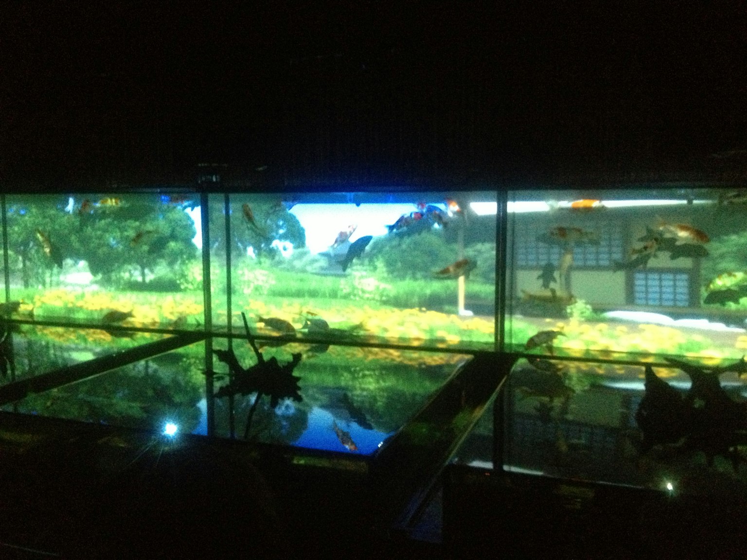 Aquarium avec des poissons nageant et un paysage naturel