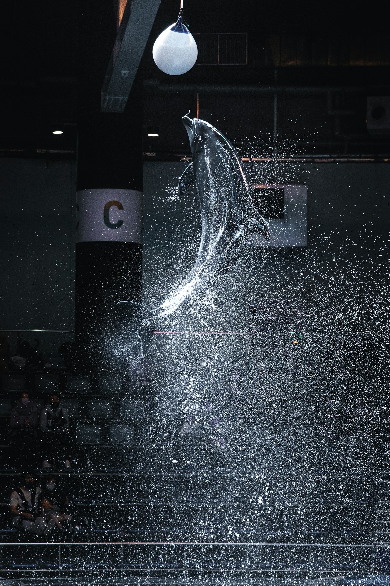 Image capturing a fish jumping and splashing water