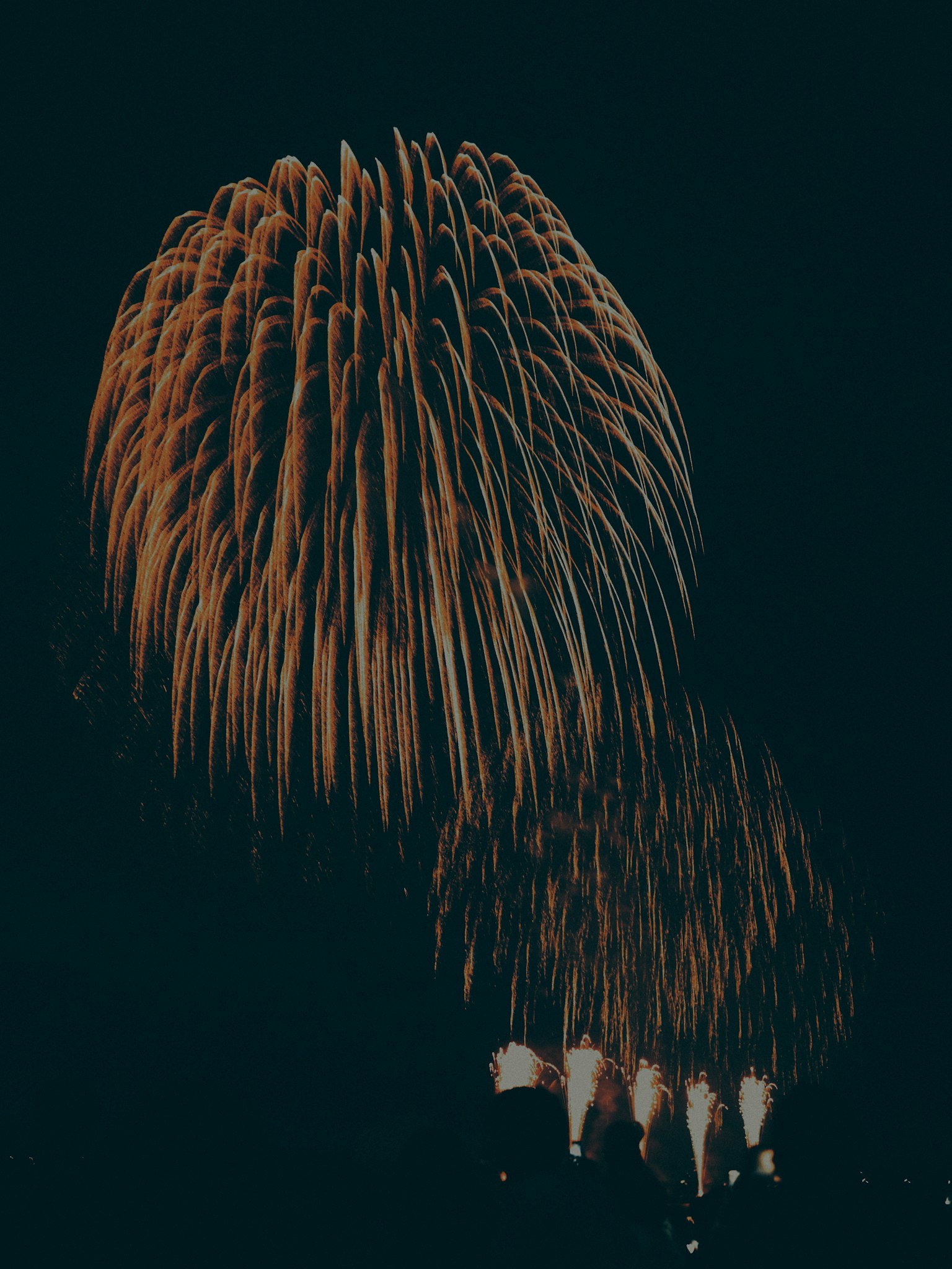 Beau motif de feux d'artifice illuminant le ciel nocturne
