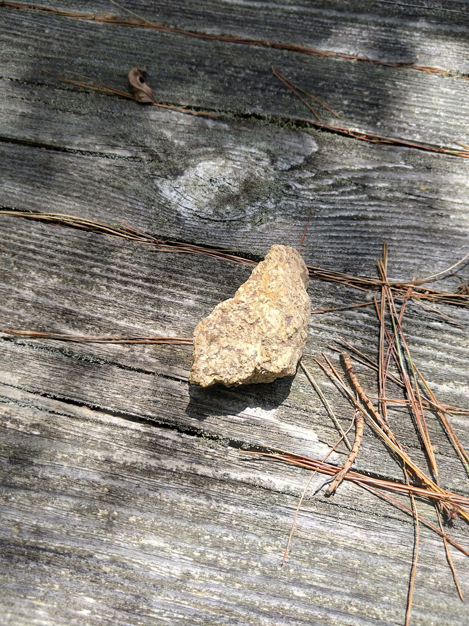 Small rock on wooden planks with pine needles